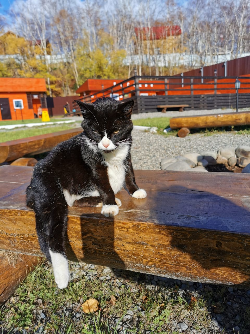 Фото Вилла Позитив