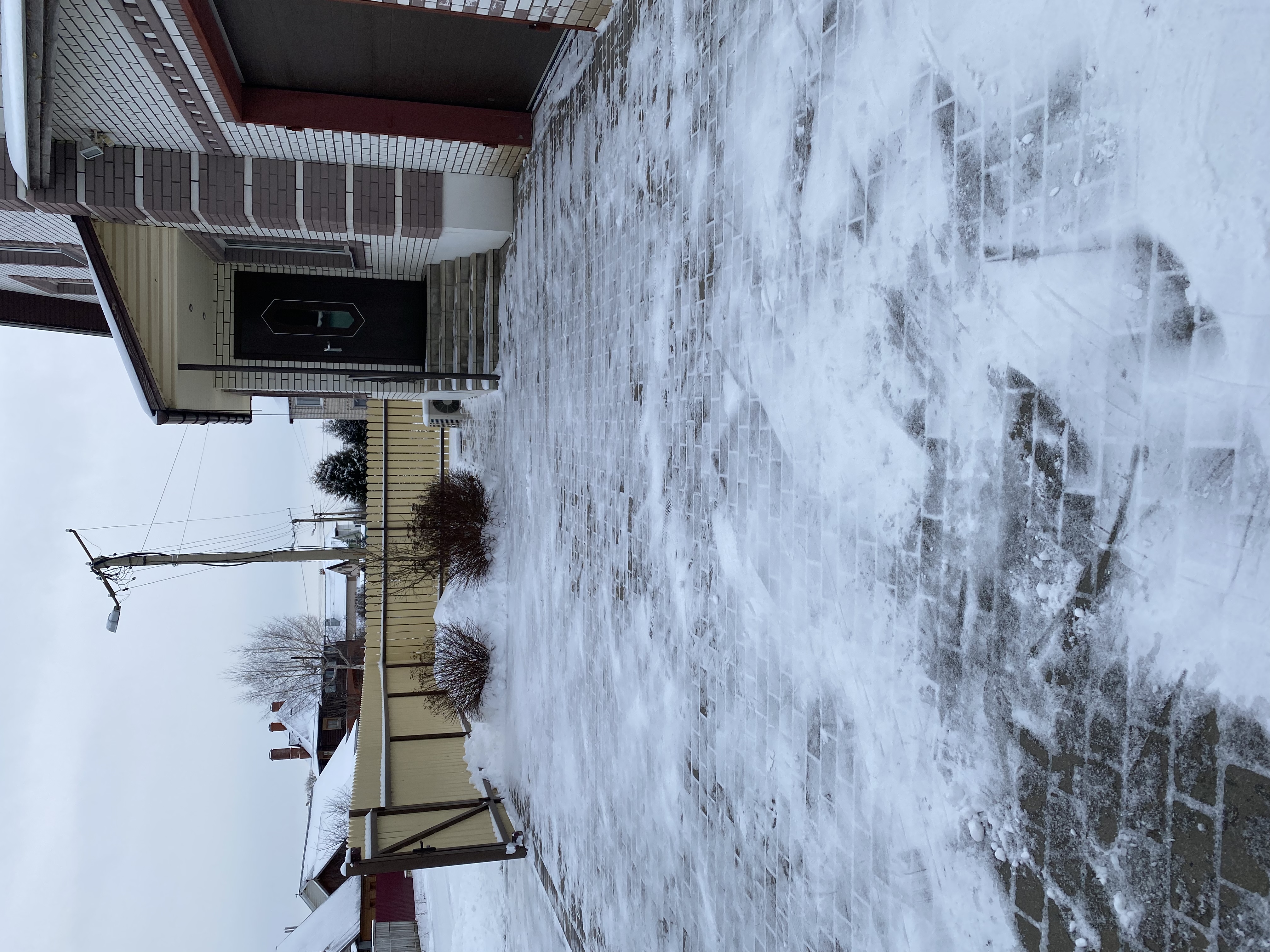 Фото У Ольги