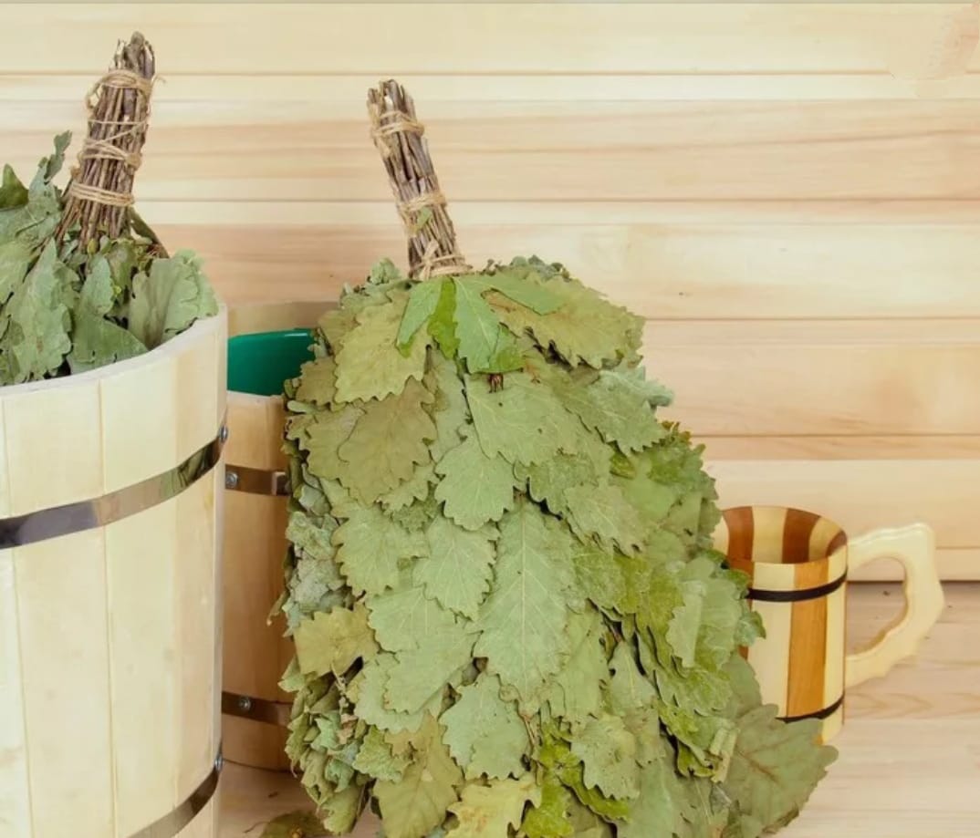 Фото Вербена