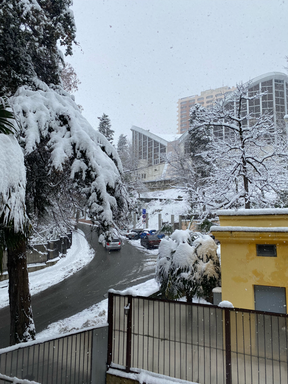 Фото Грин Клаб