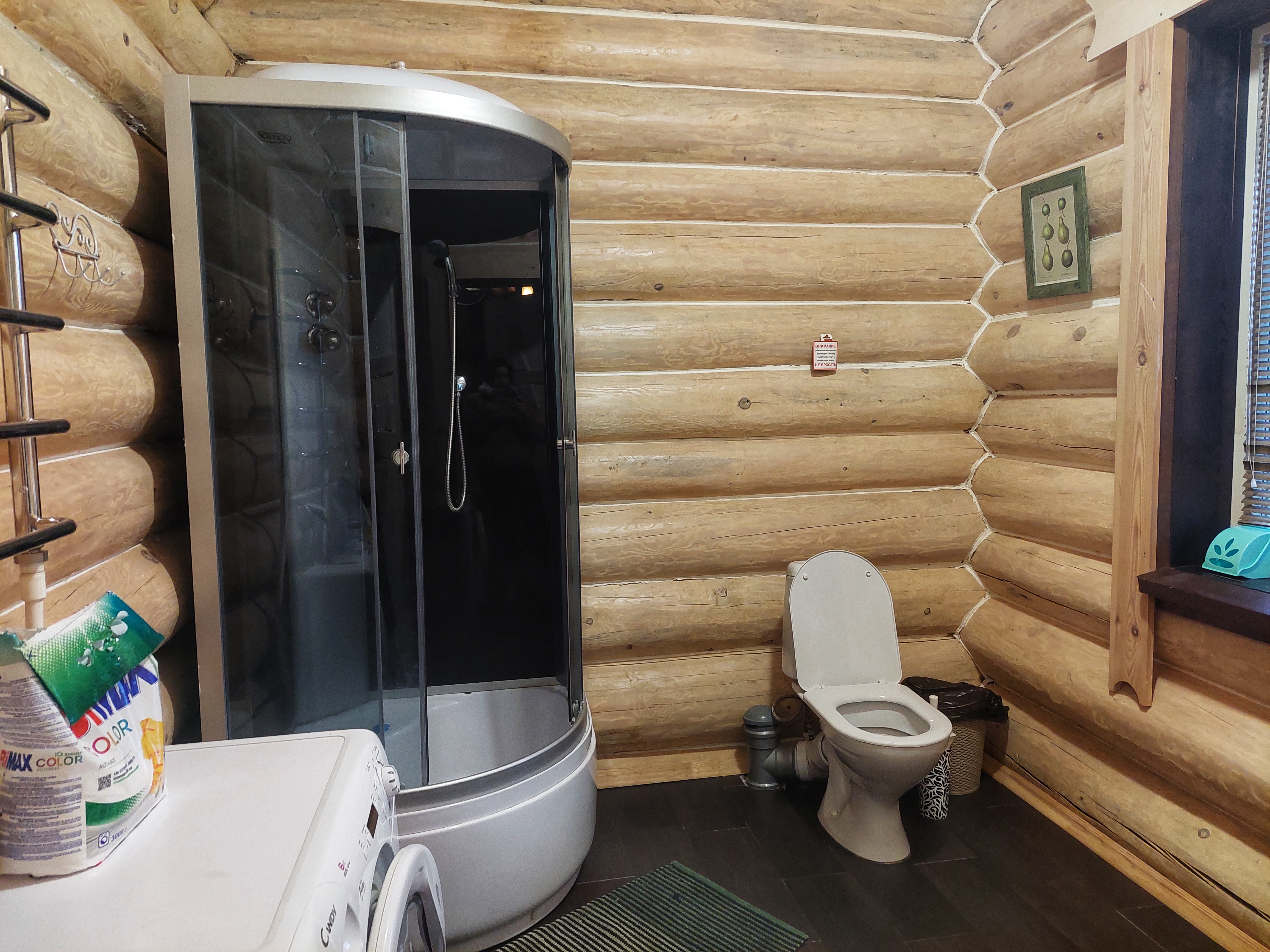 Фото Сорока