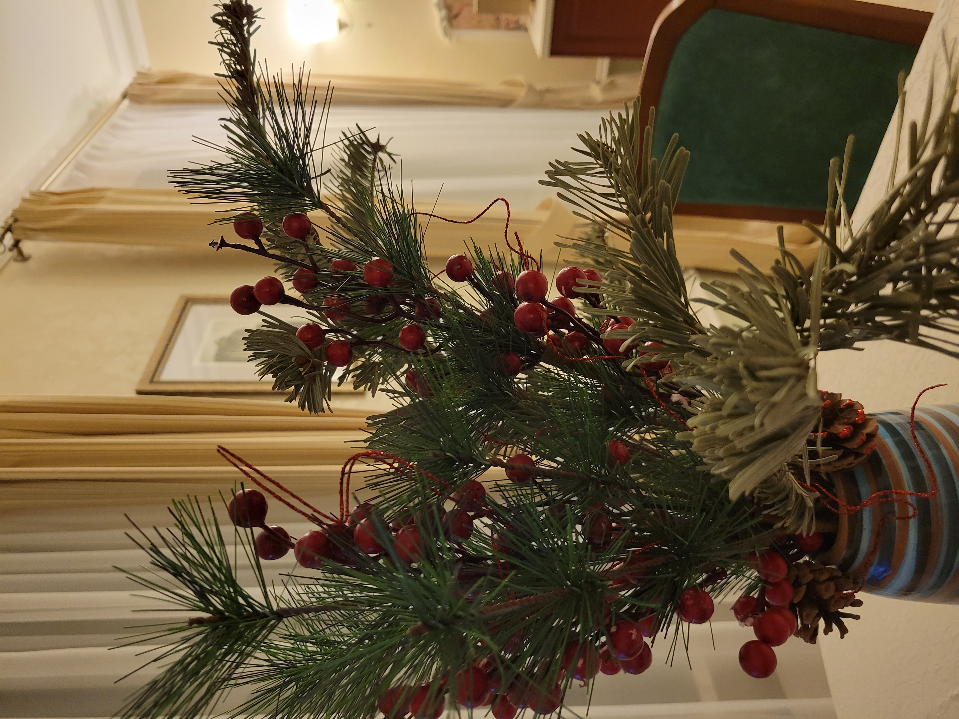 Фото Боровница