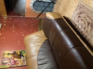 Фото Арабика