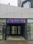 Britannic (Kholmogorov Street, 17А), cursos de idiomas extranjeros