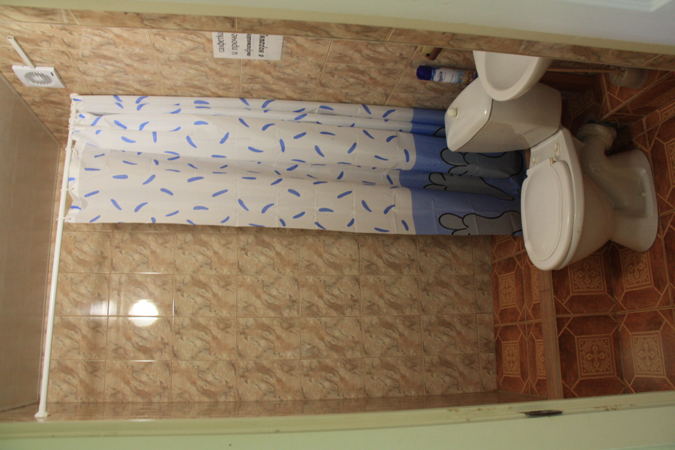 Фото Ромашка