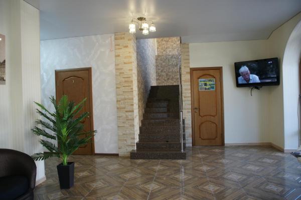 Фото Ленивый тюлень