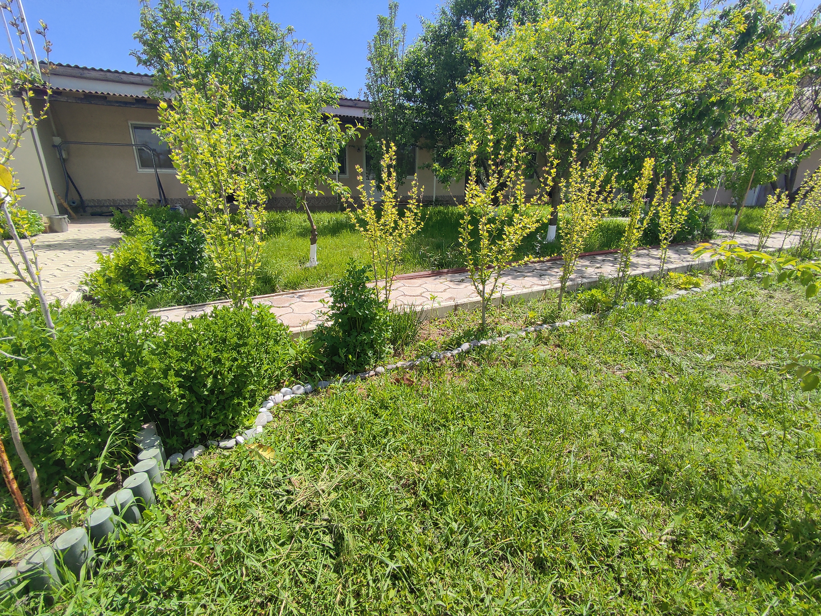 Фото Лонисера