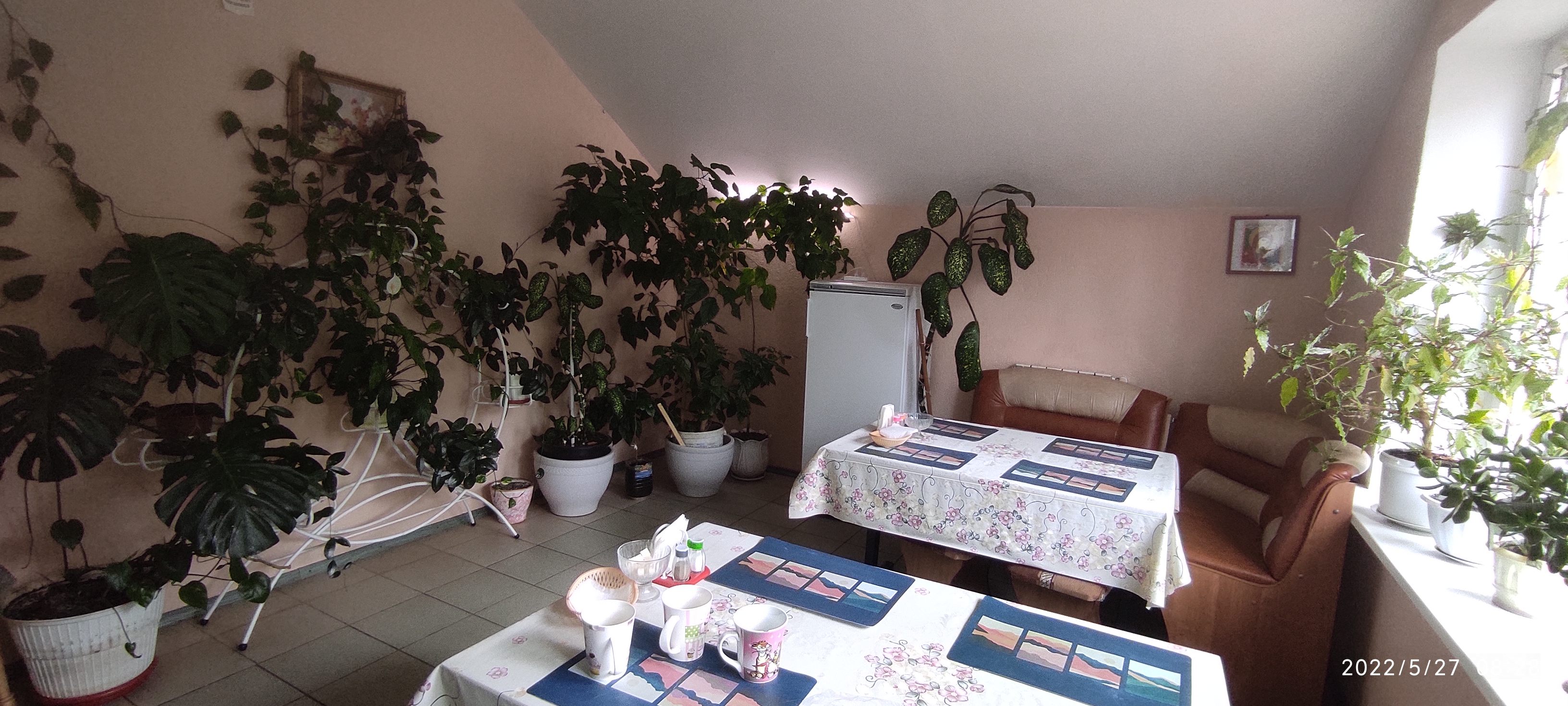 Фото Рябинушка