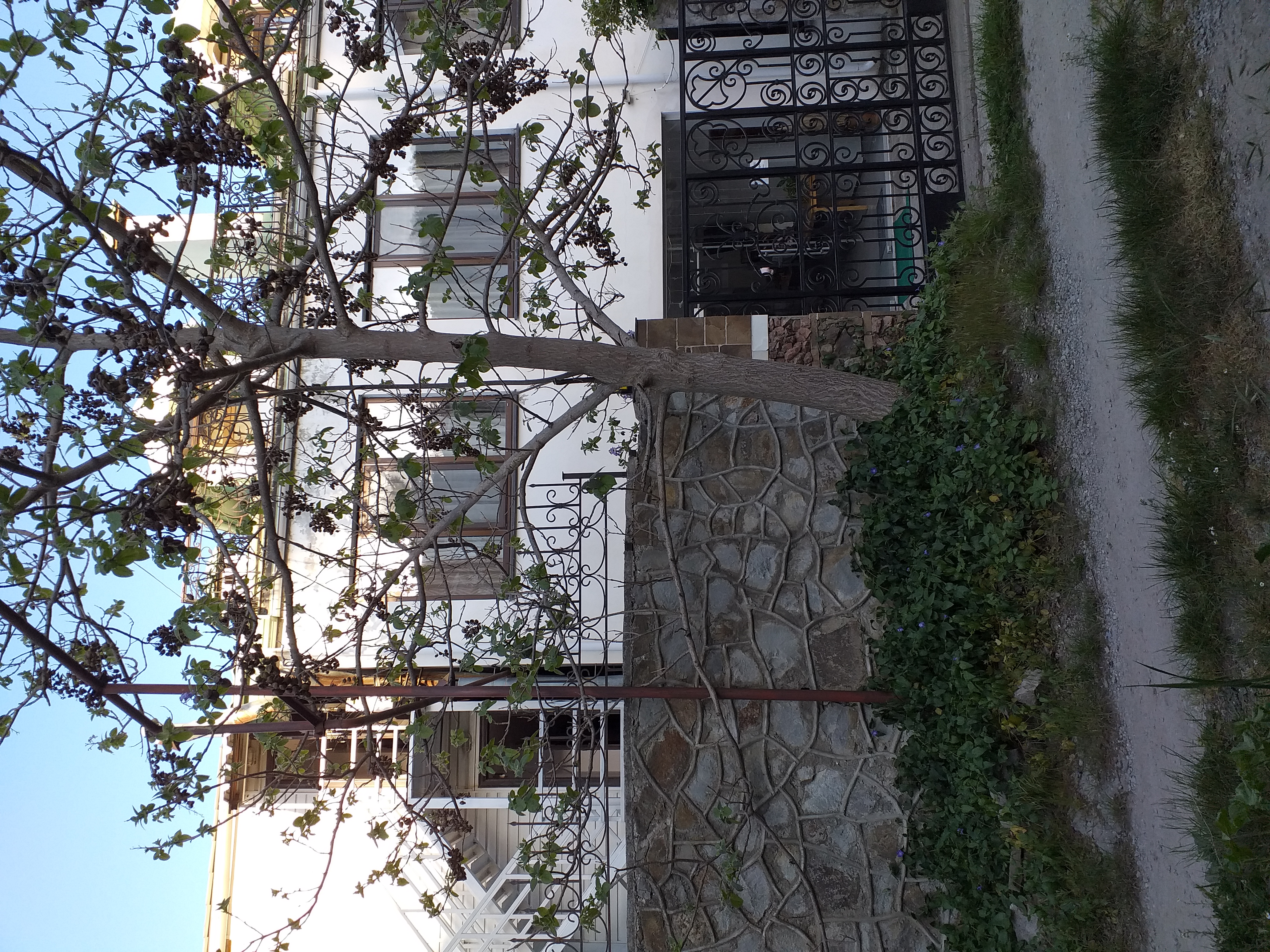 Фото Вилла Царь