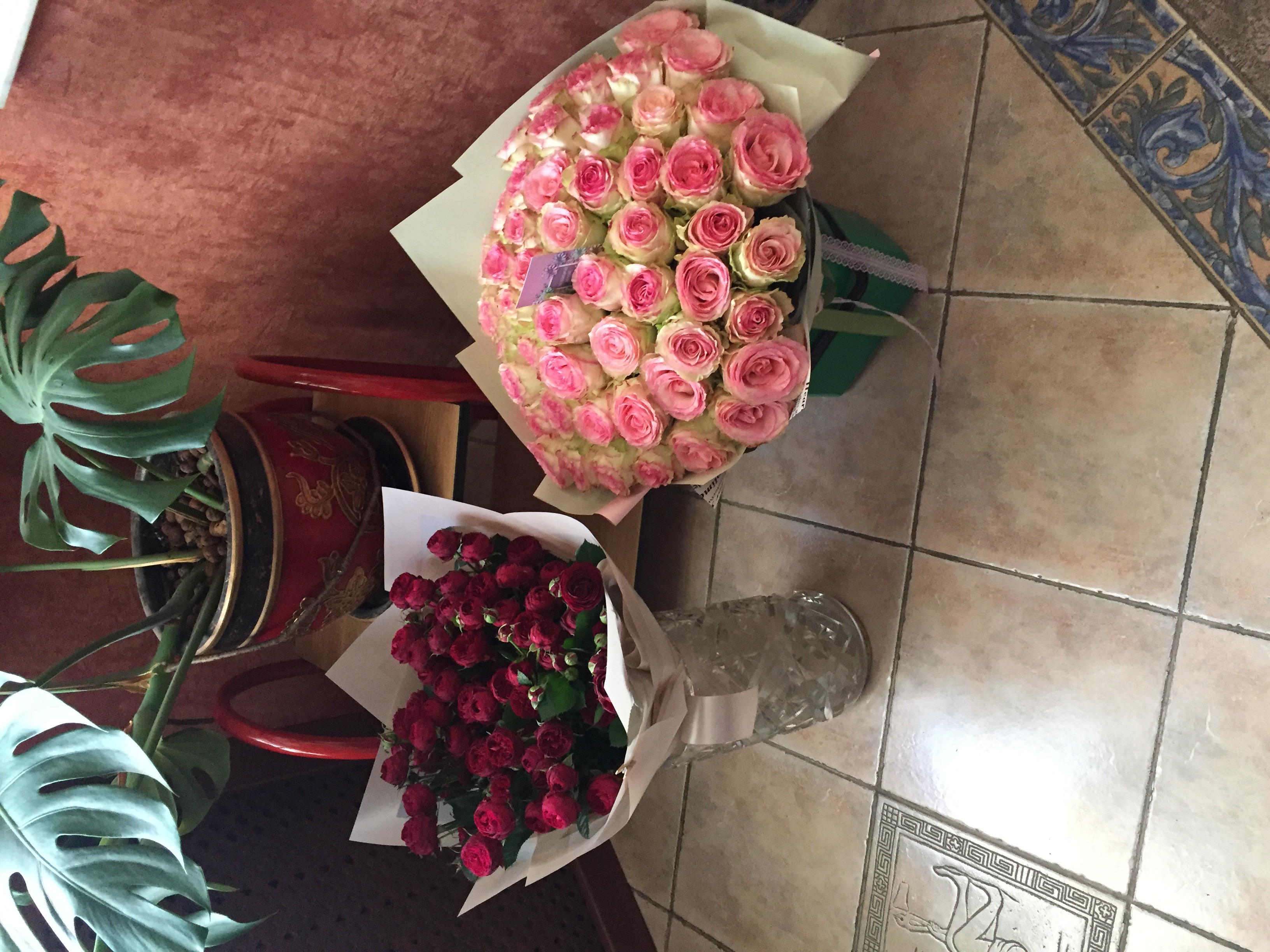 Фото Маркиз