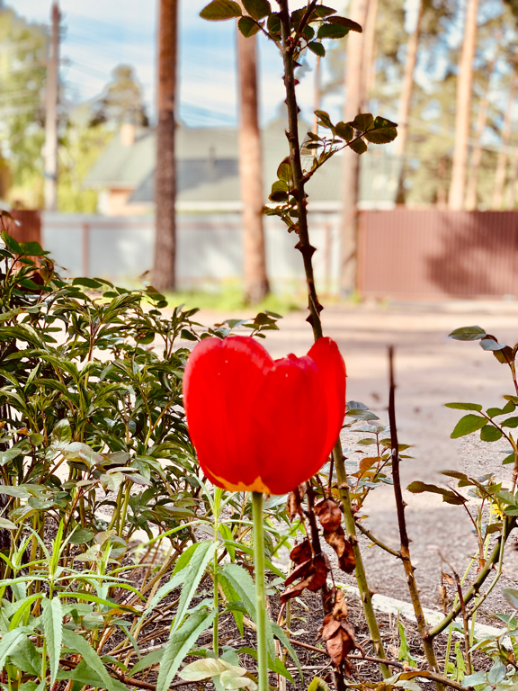 Фото На Театральной