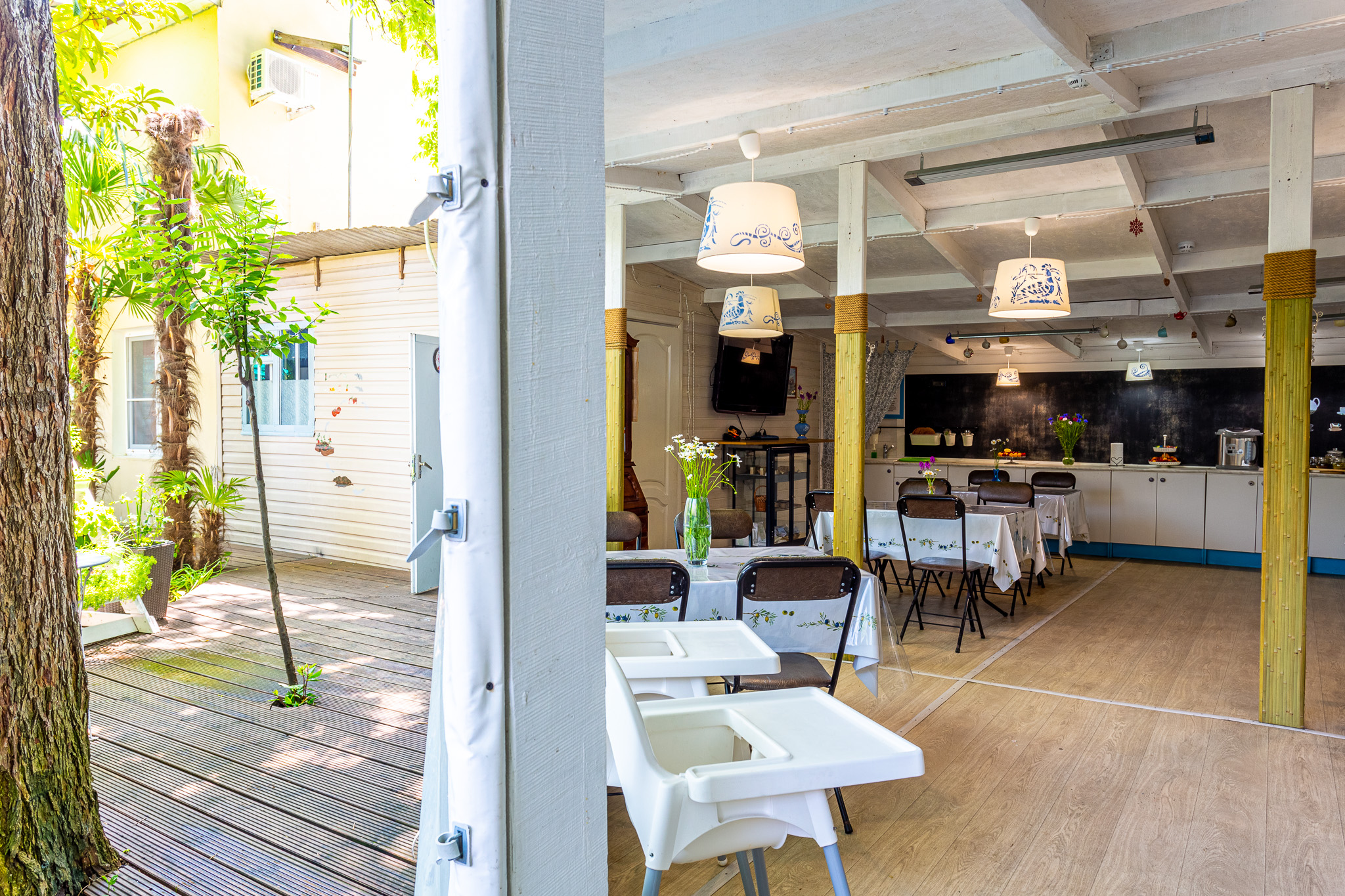 Фото Бамбук хутор