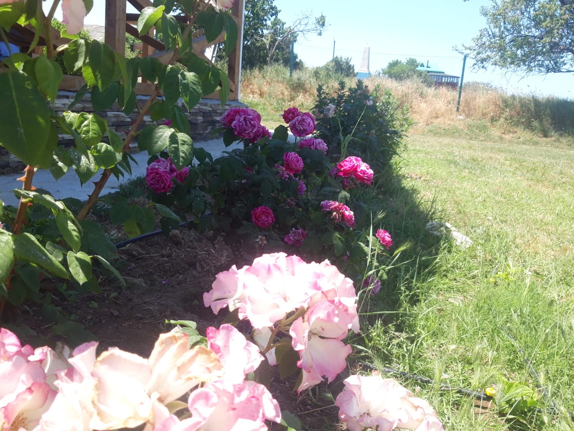 Фото Дом для отпуска