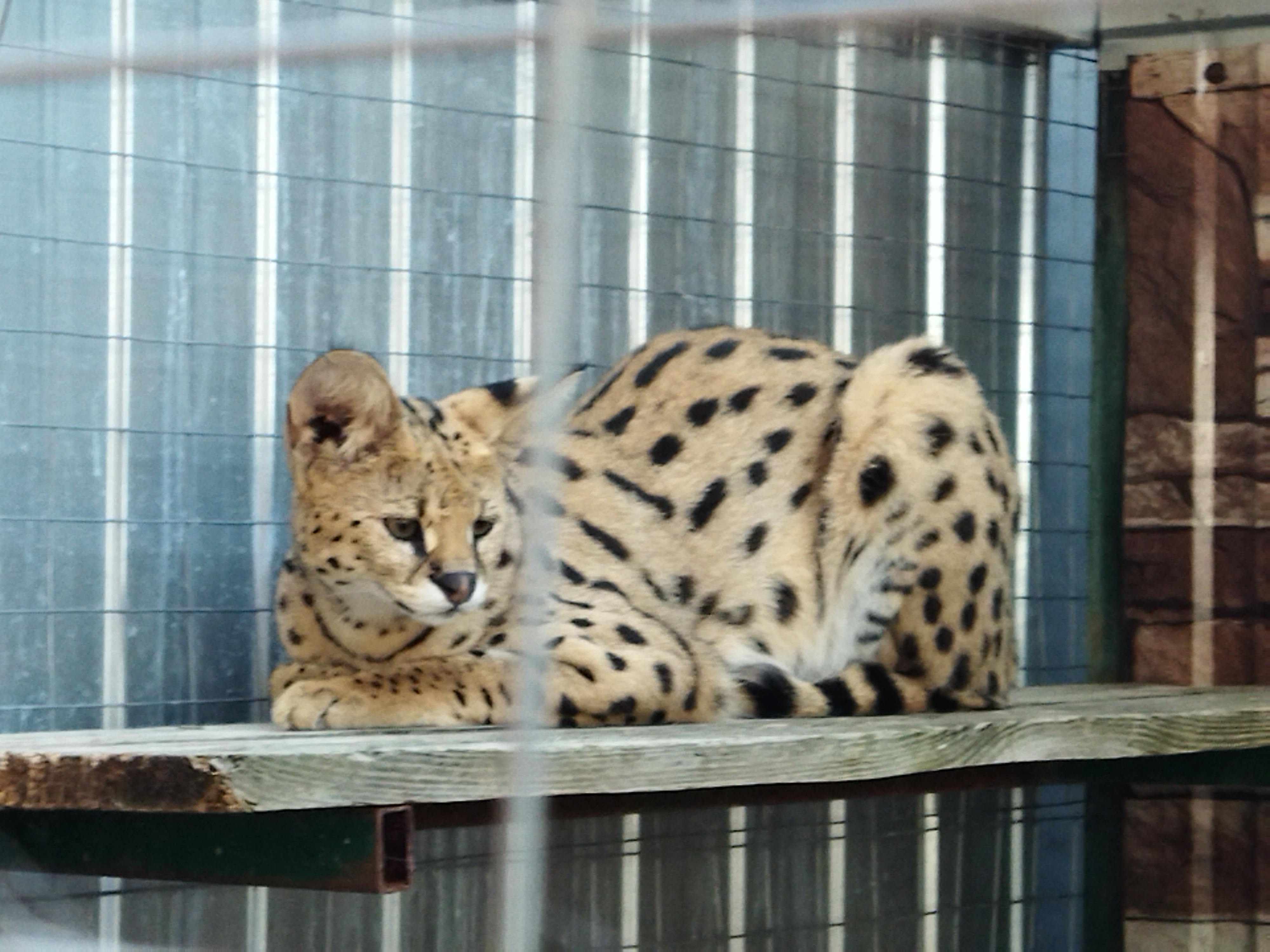 Фото ВиллаФрунзе