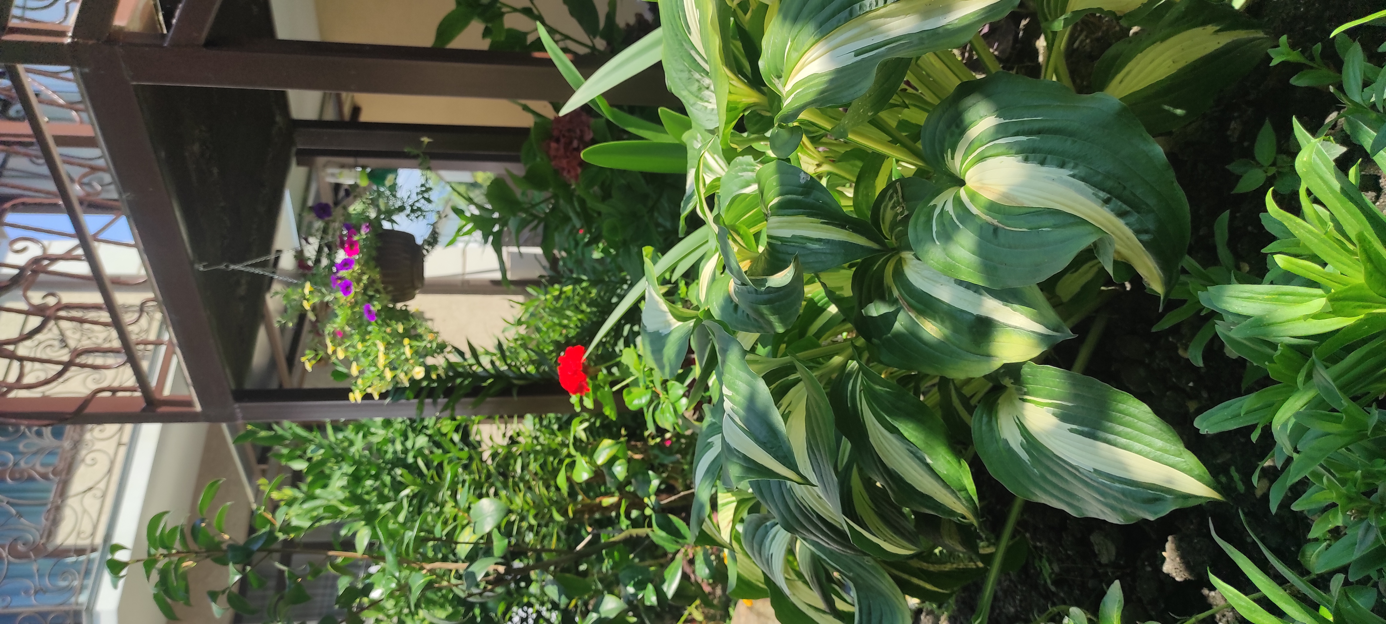 Фото Гостевой дом Лето