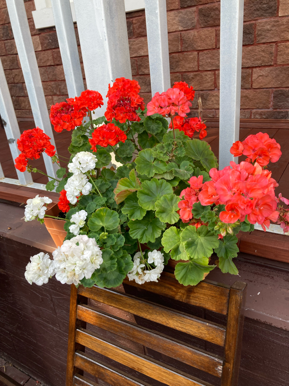 Фото Волга-Volga