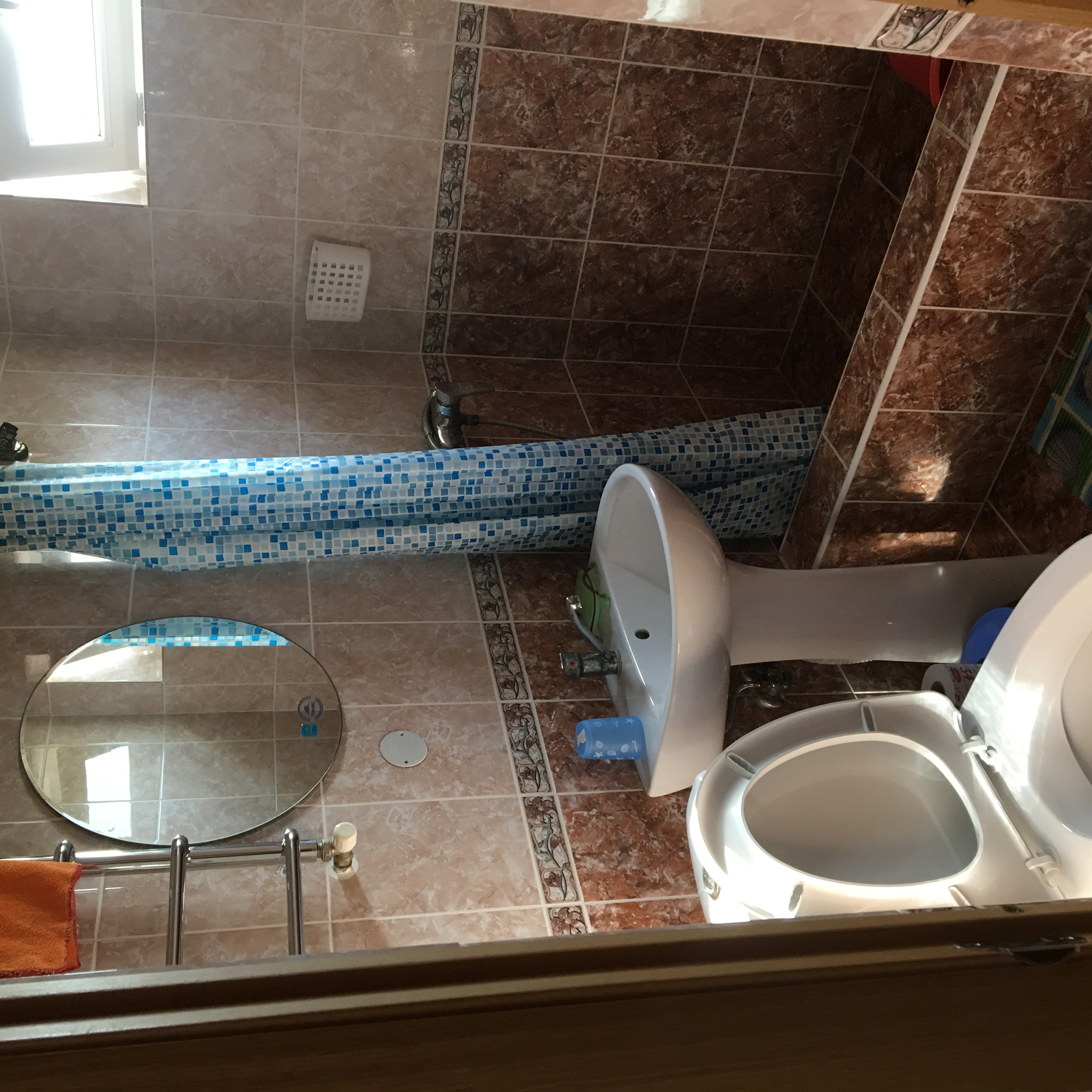 Фото Сафари