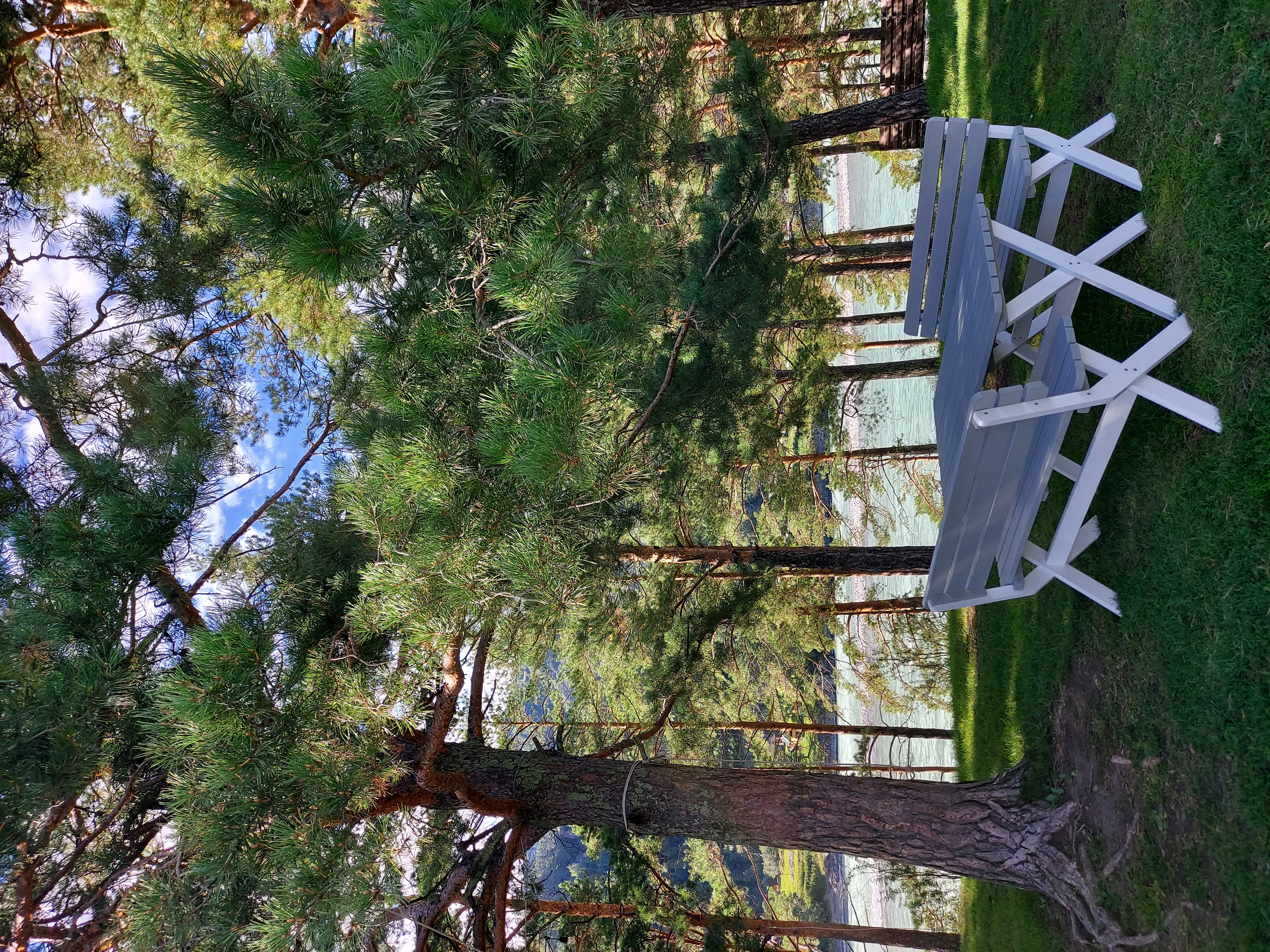 Фото Алтерия