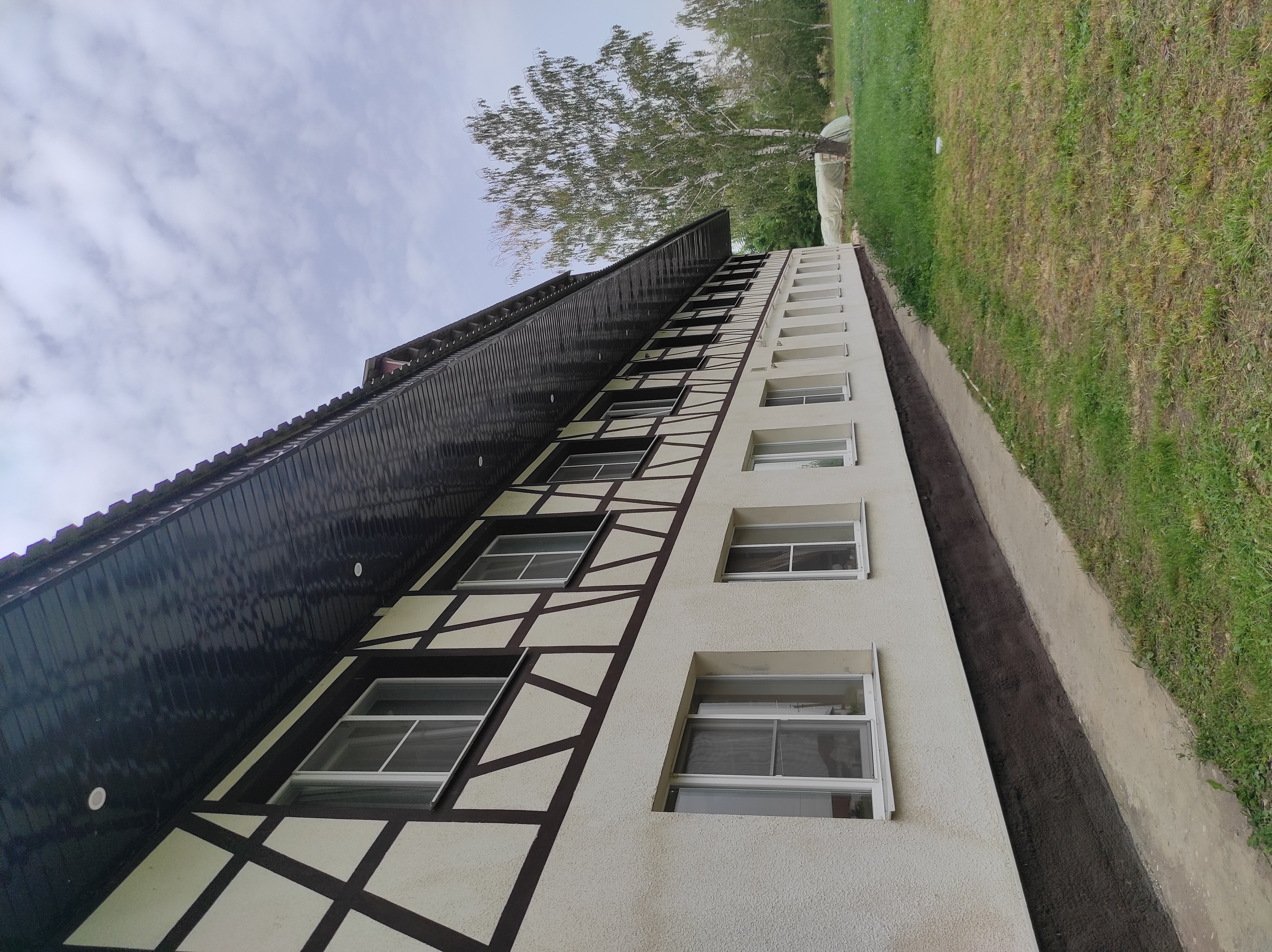 Фото Берёзка