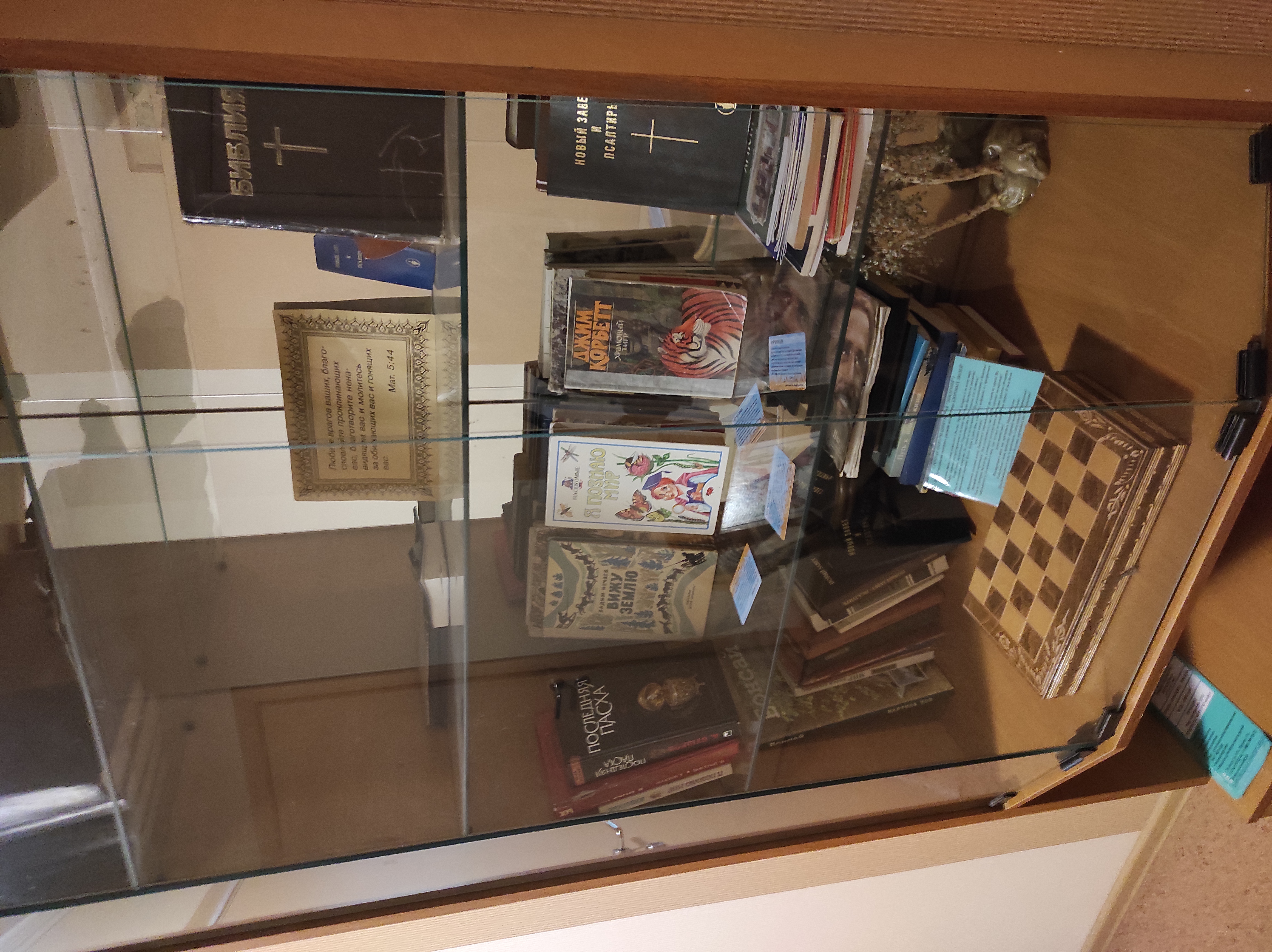 Фото Берёзка