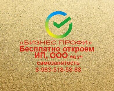 Бизнес профи