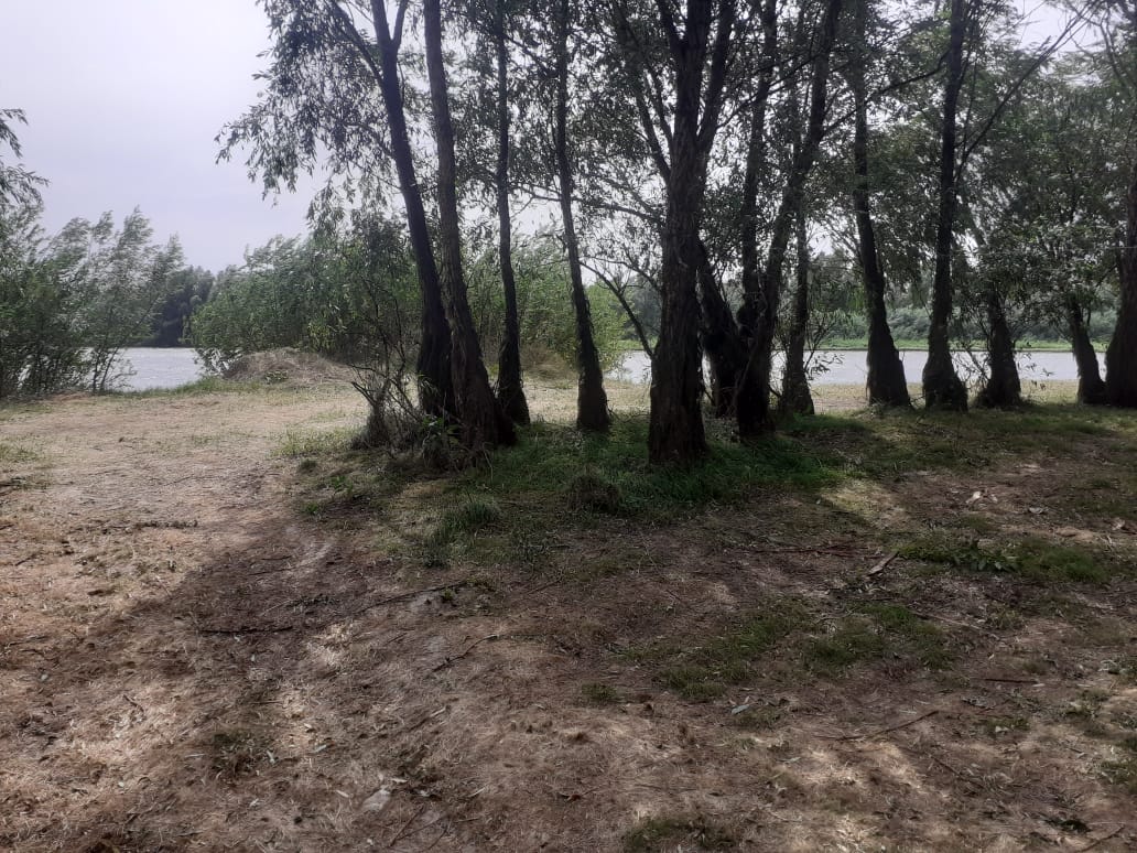 Фото База Звезда