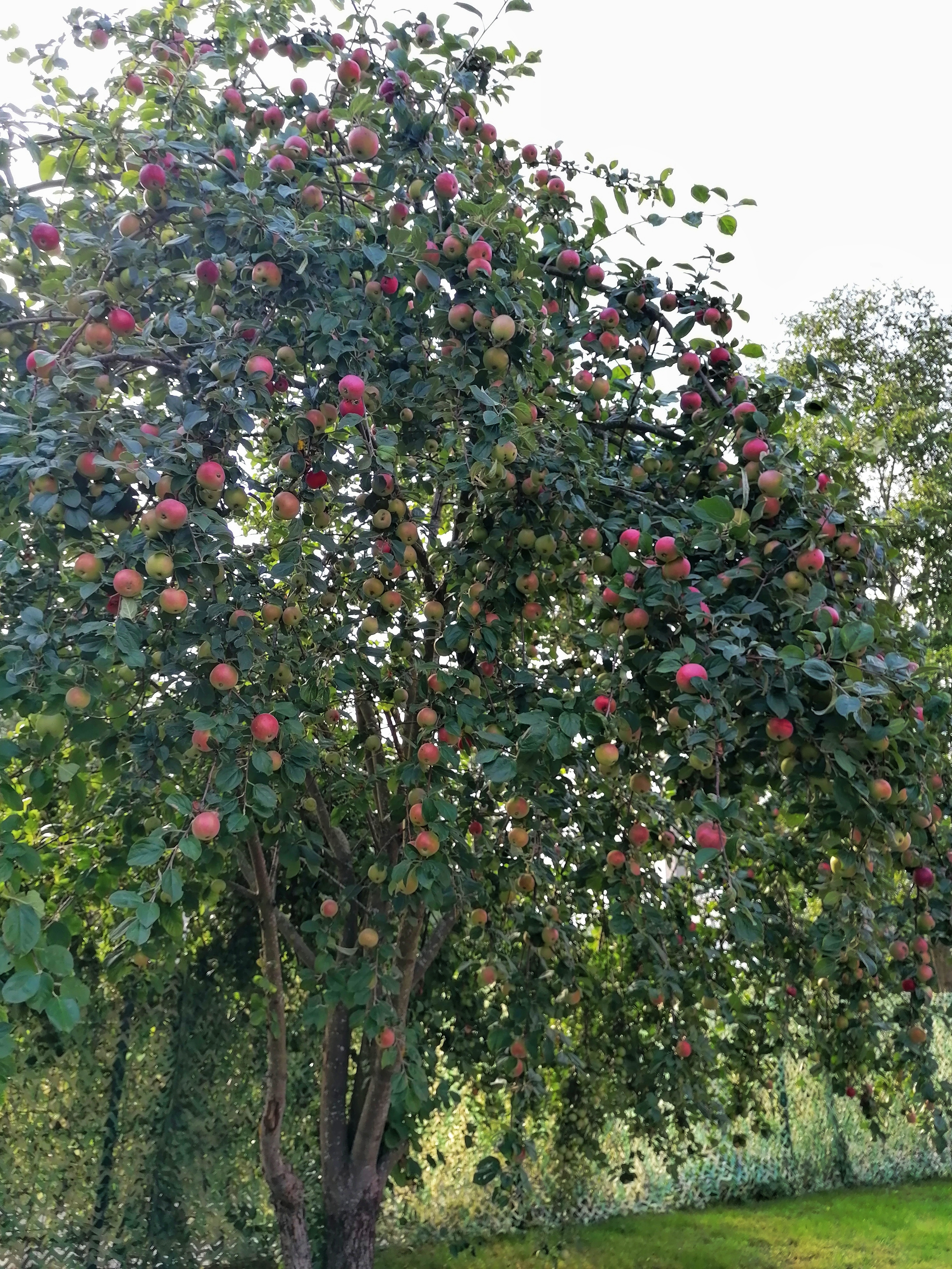 Фото Тимофеево