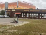 Rare parts (Torfyanaya Road, 21А), auto parts and auto goods store