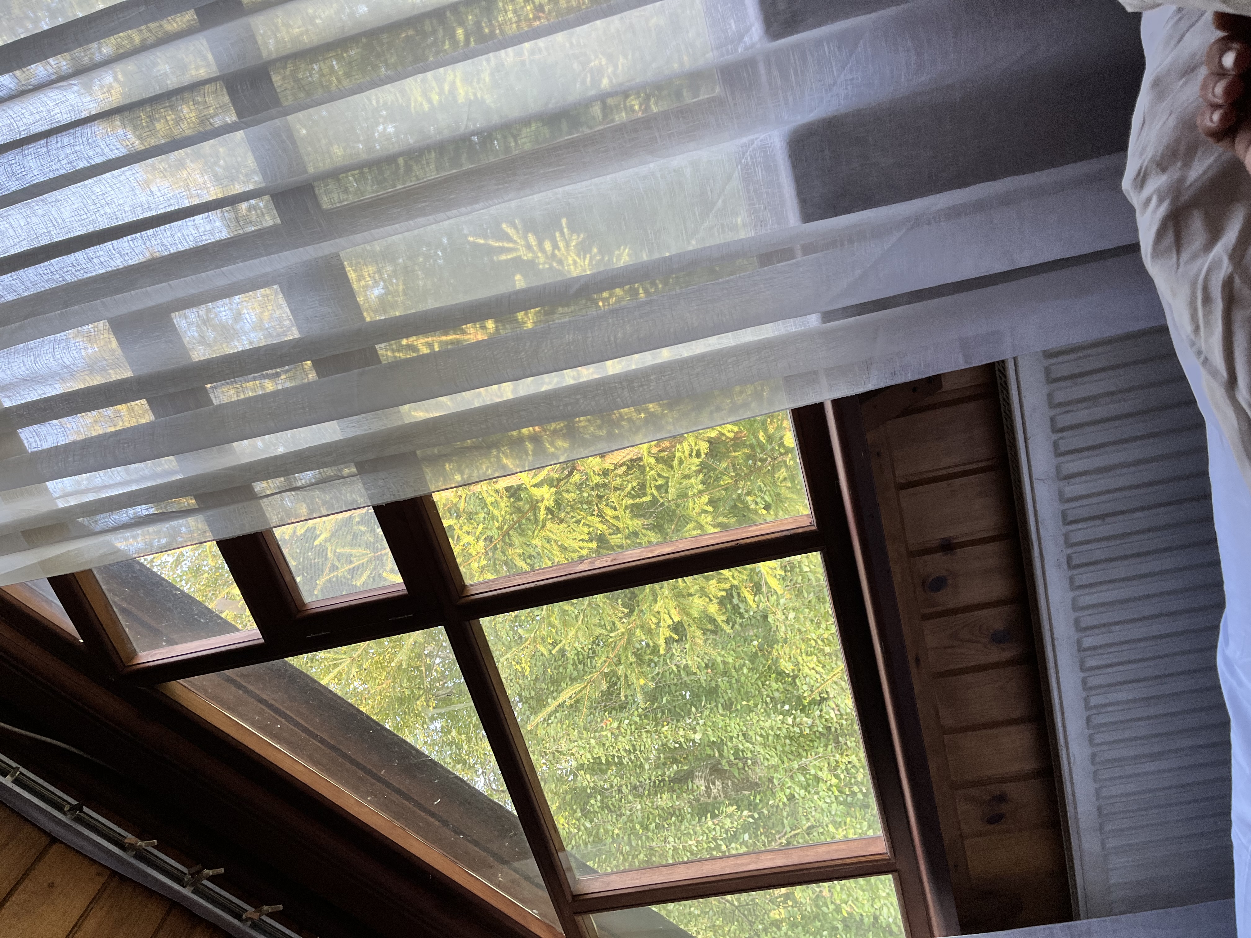 Фото Чёрное и белое