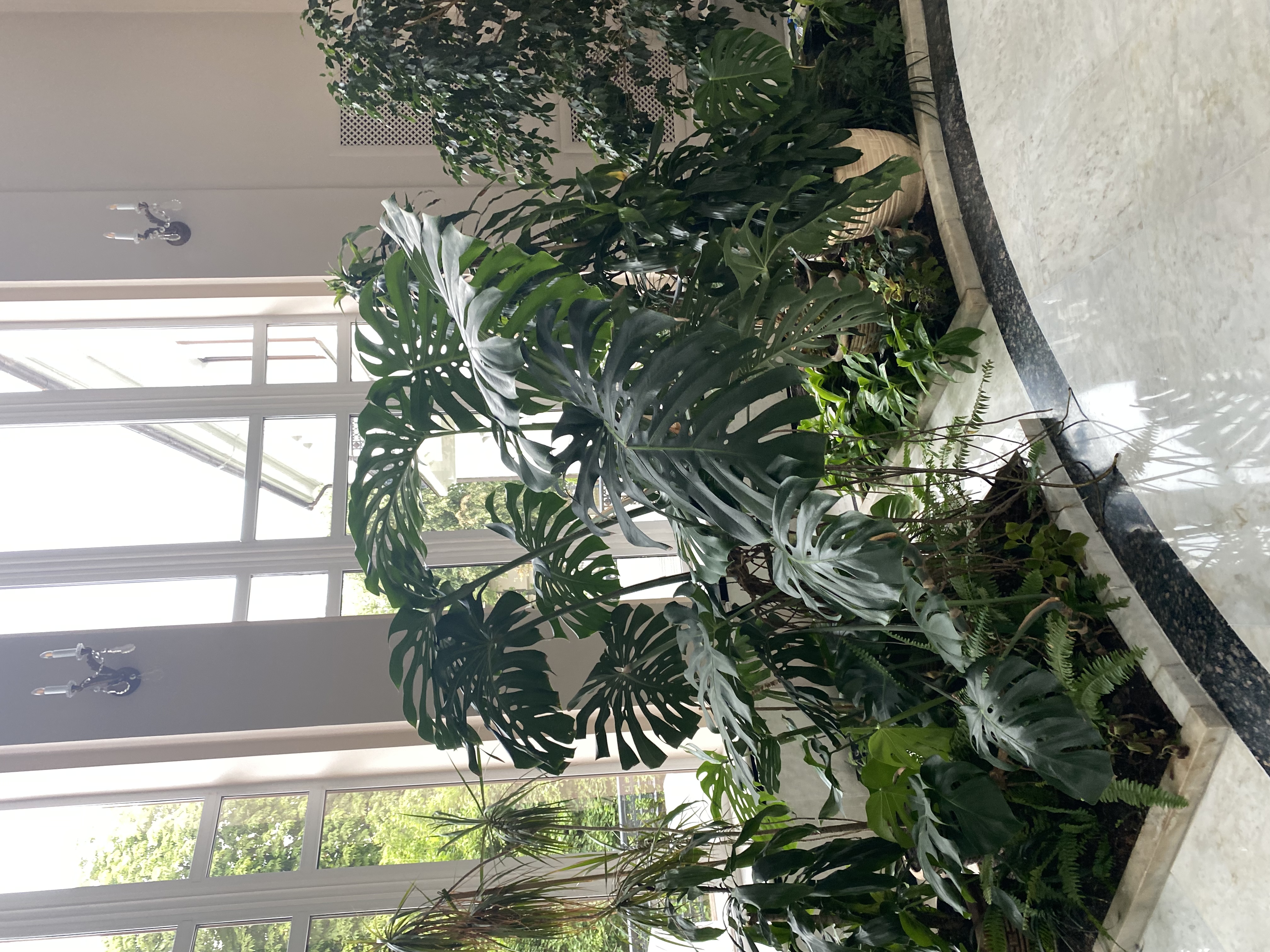 Фото Dipservice Hall