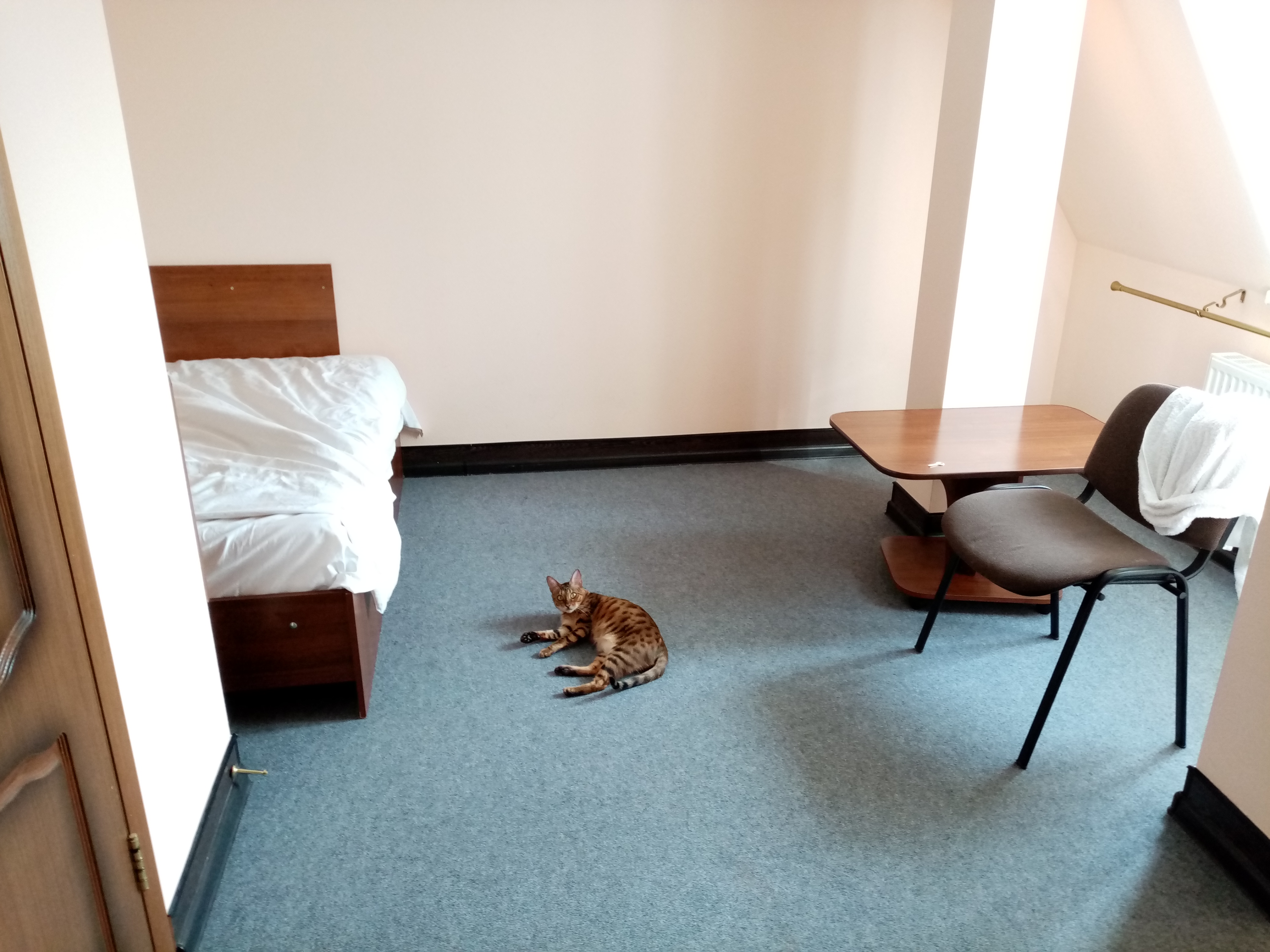 Фото Привал