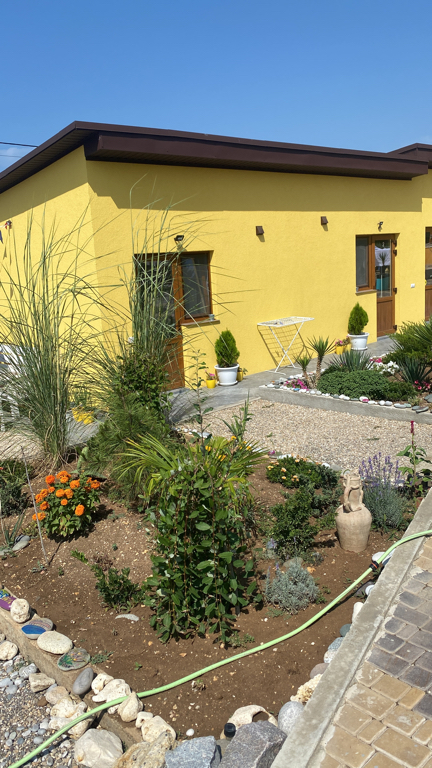 Фото Шафран