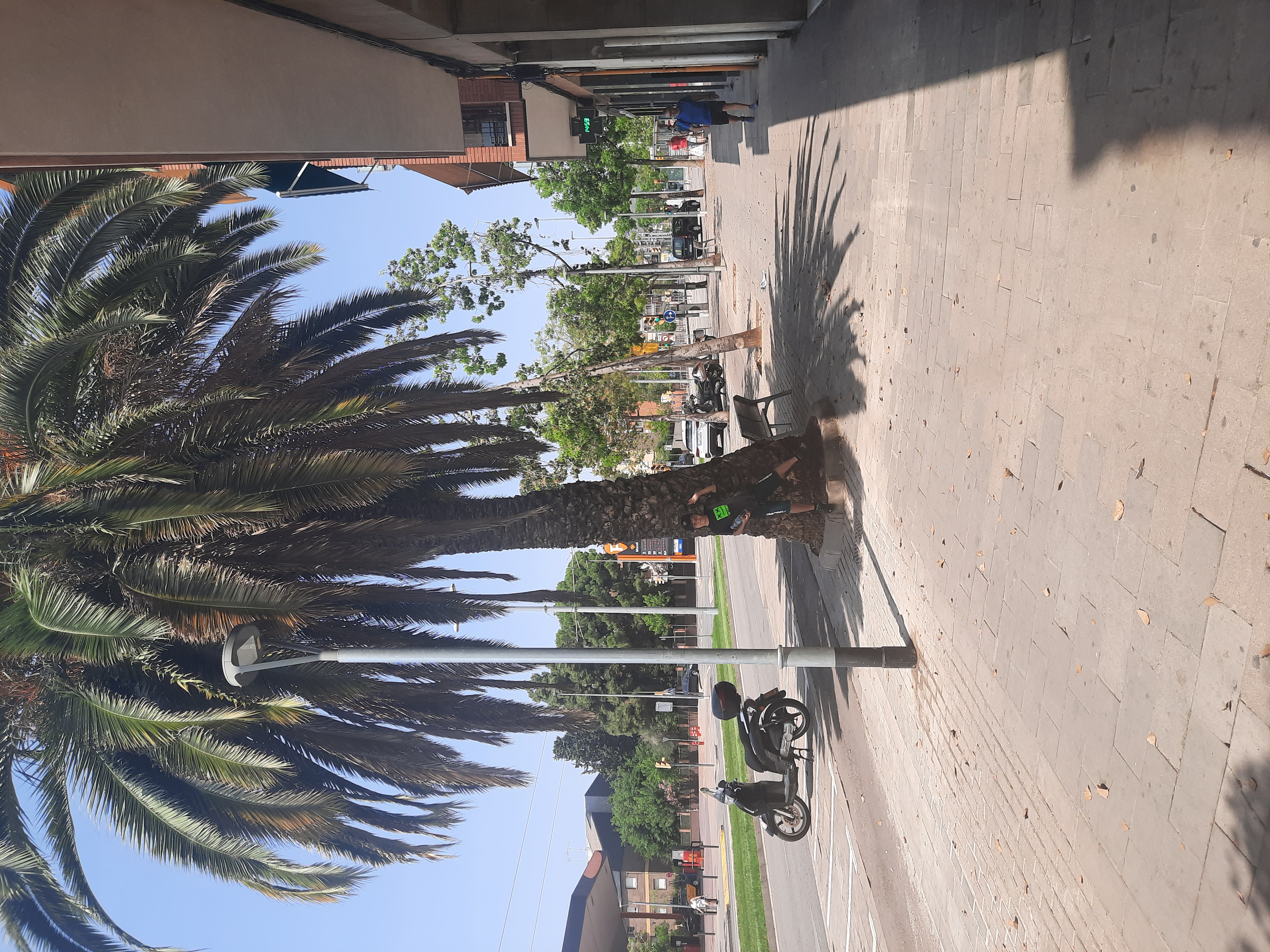 Фото Apartamentos Hesperia Barcelona Sant Joan