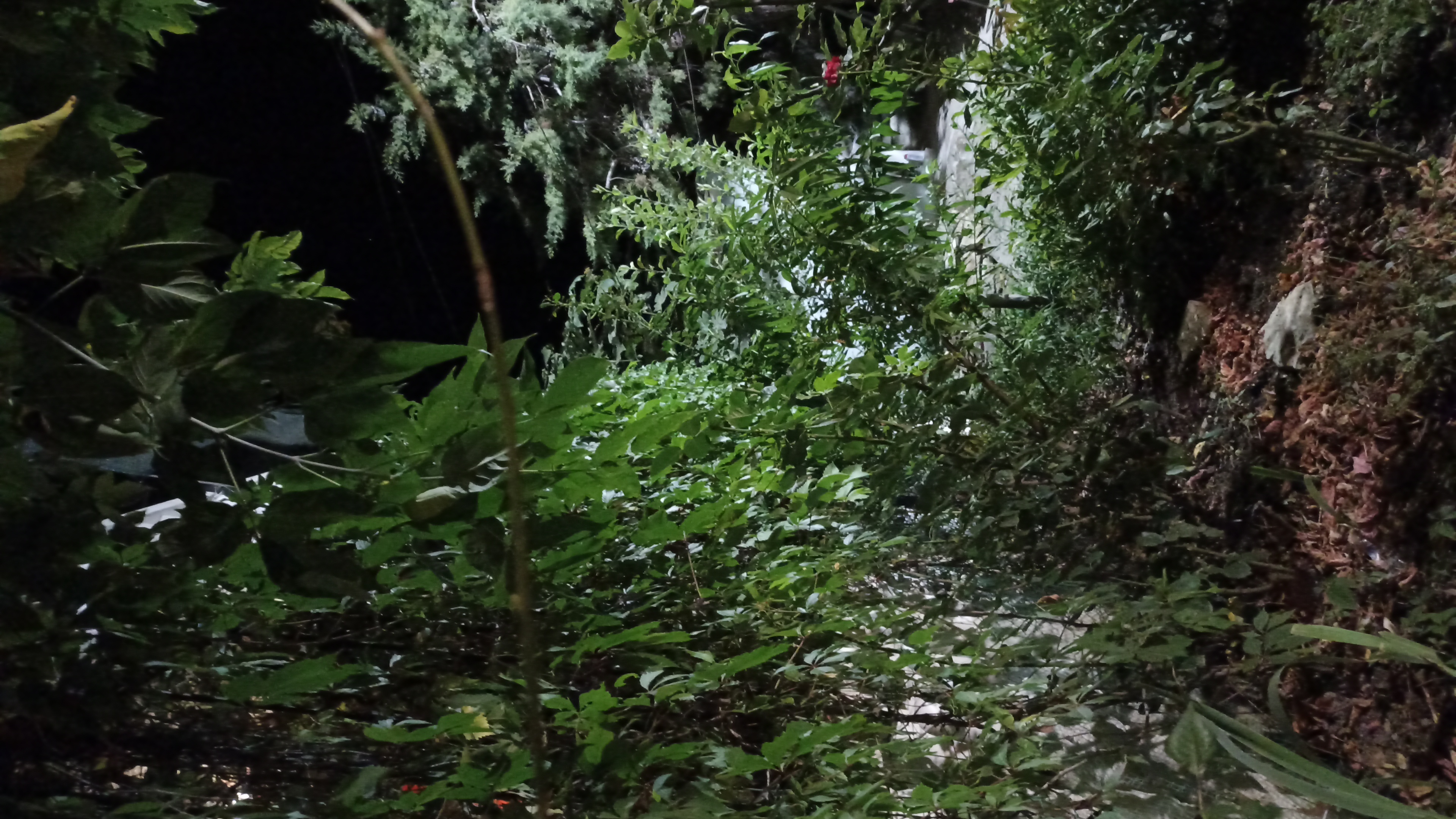 Фото Домик у моря