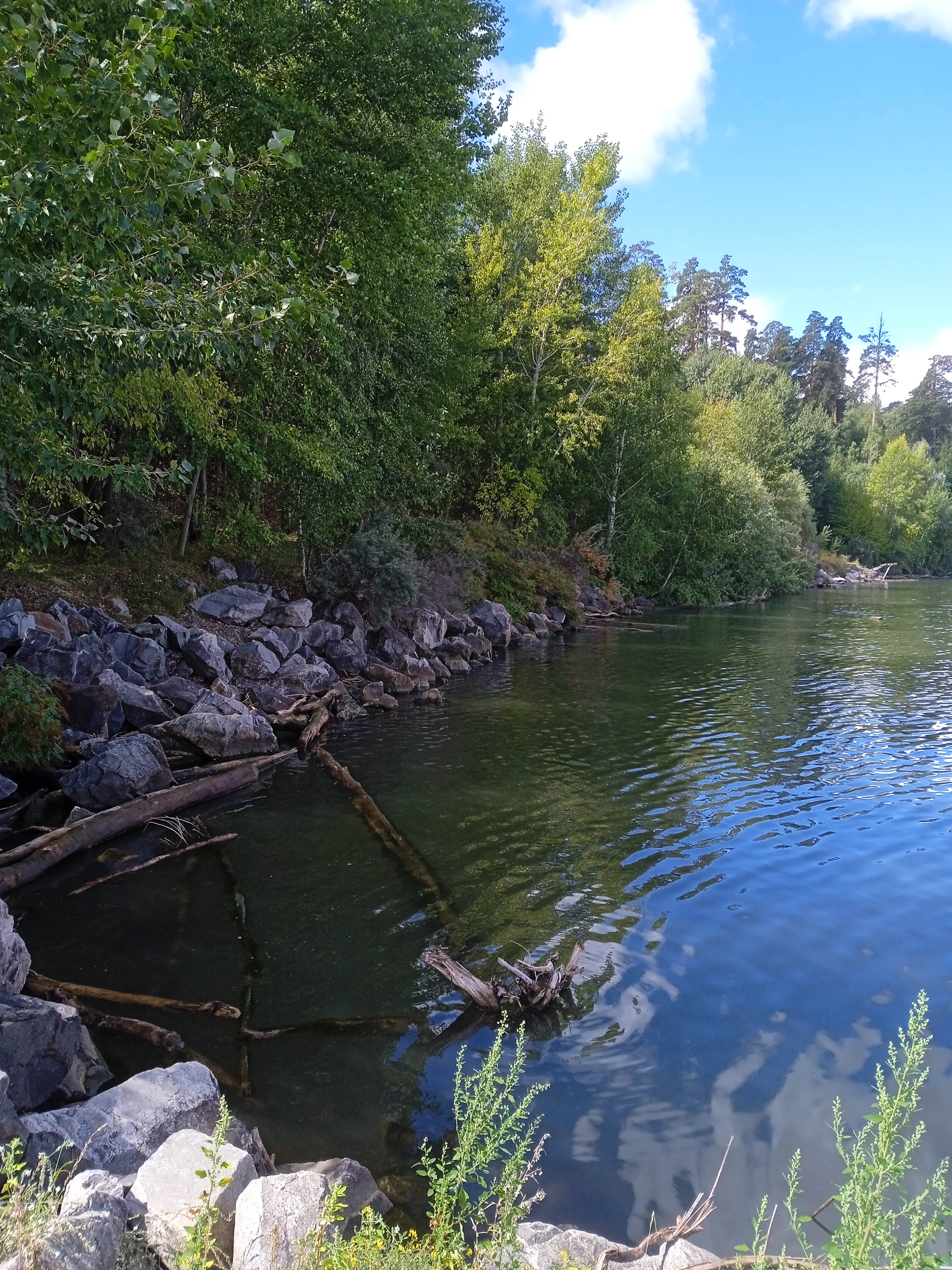 Фото Лесная сказка