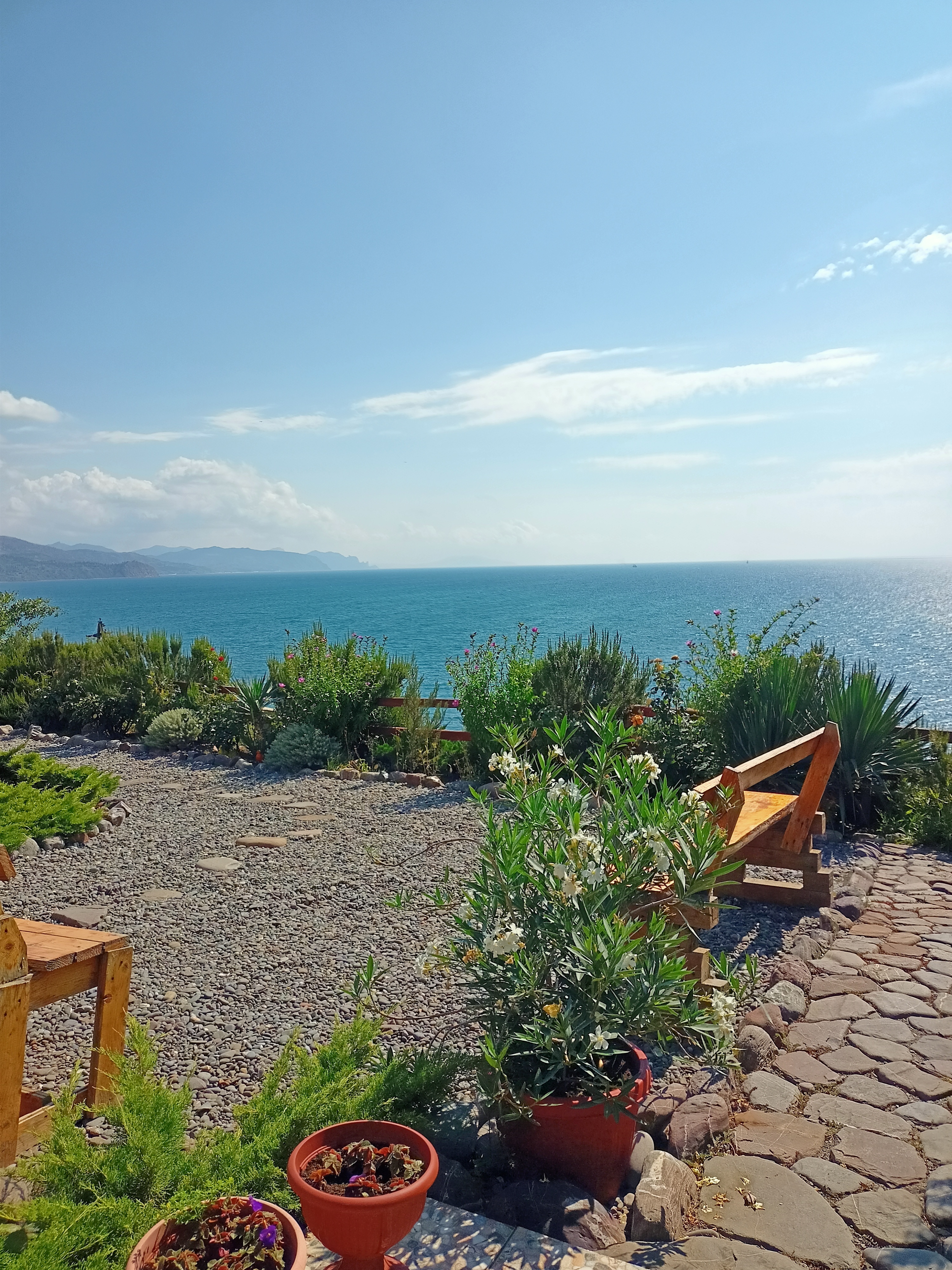 Фото Афалина