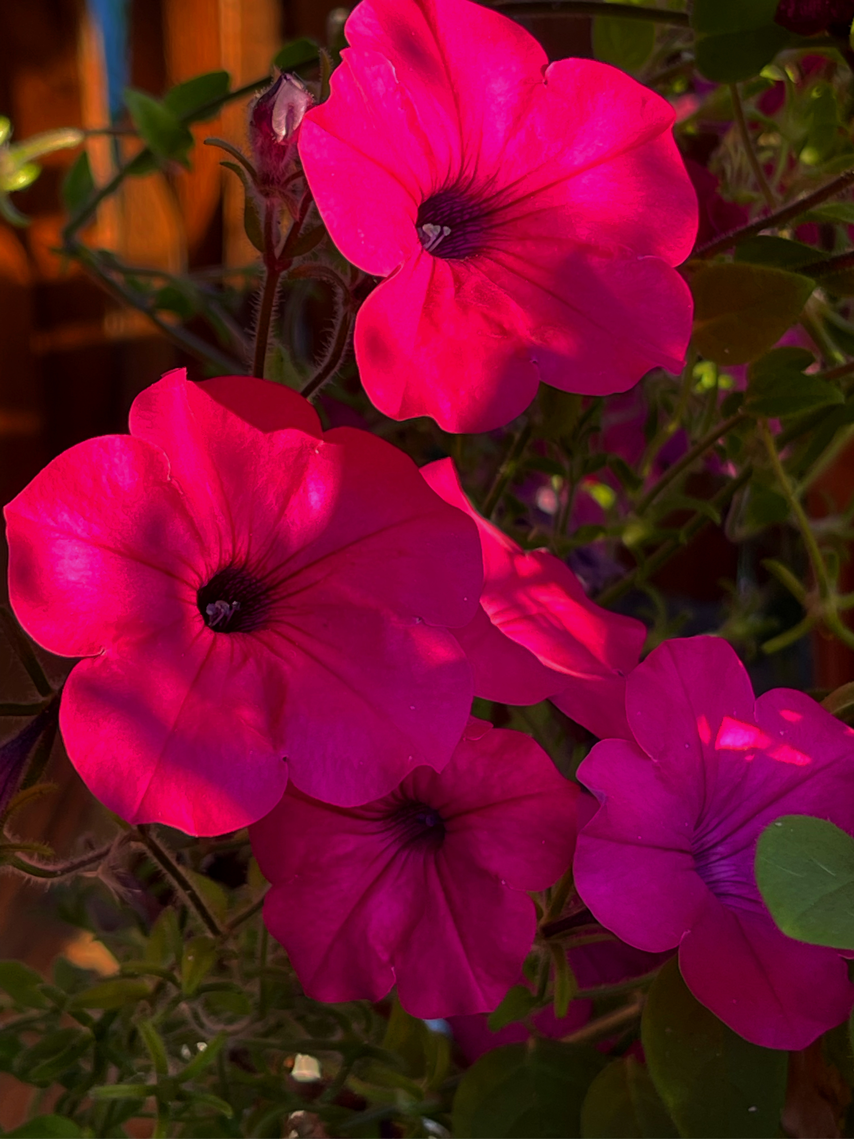 Фото Eko house kamchatka