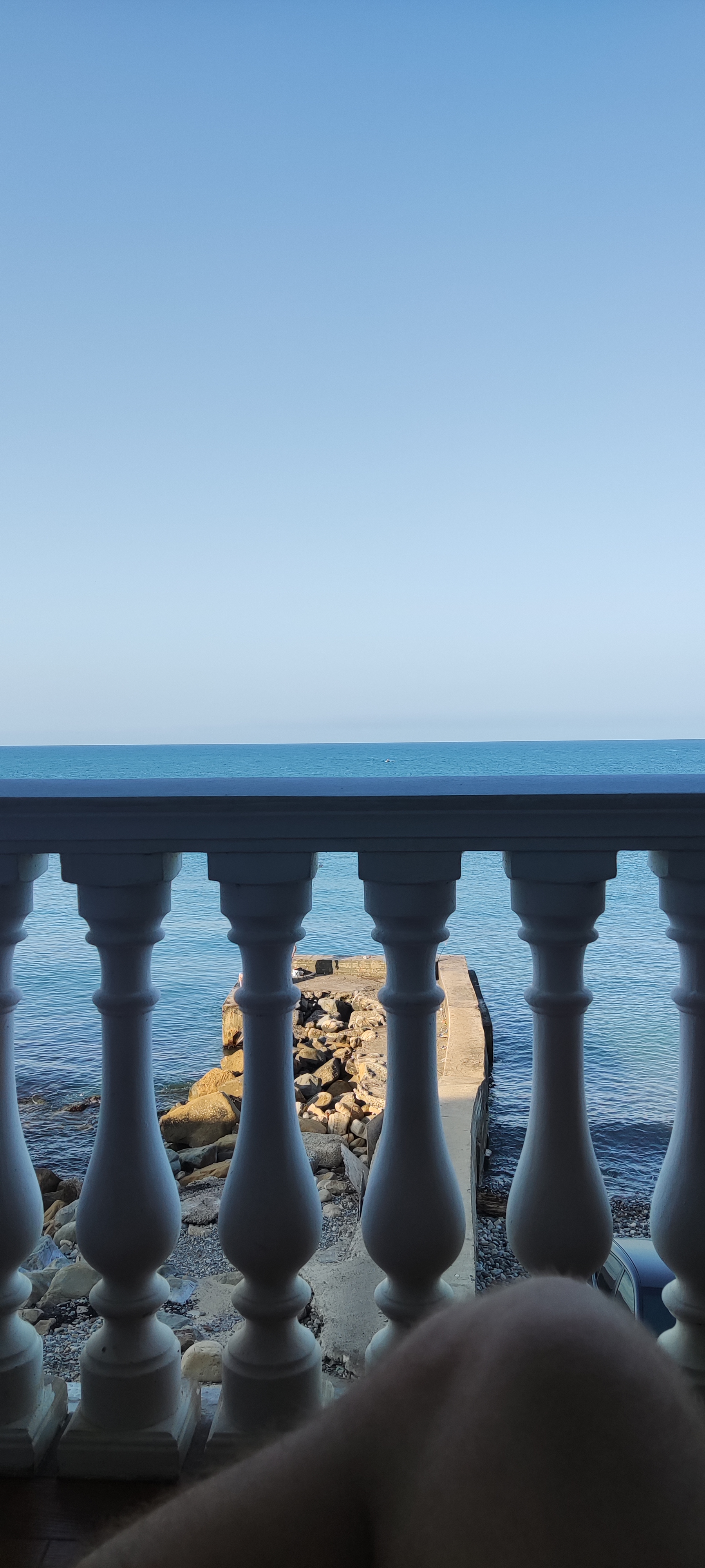 Фото Ариода