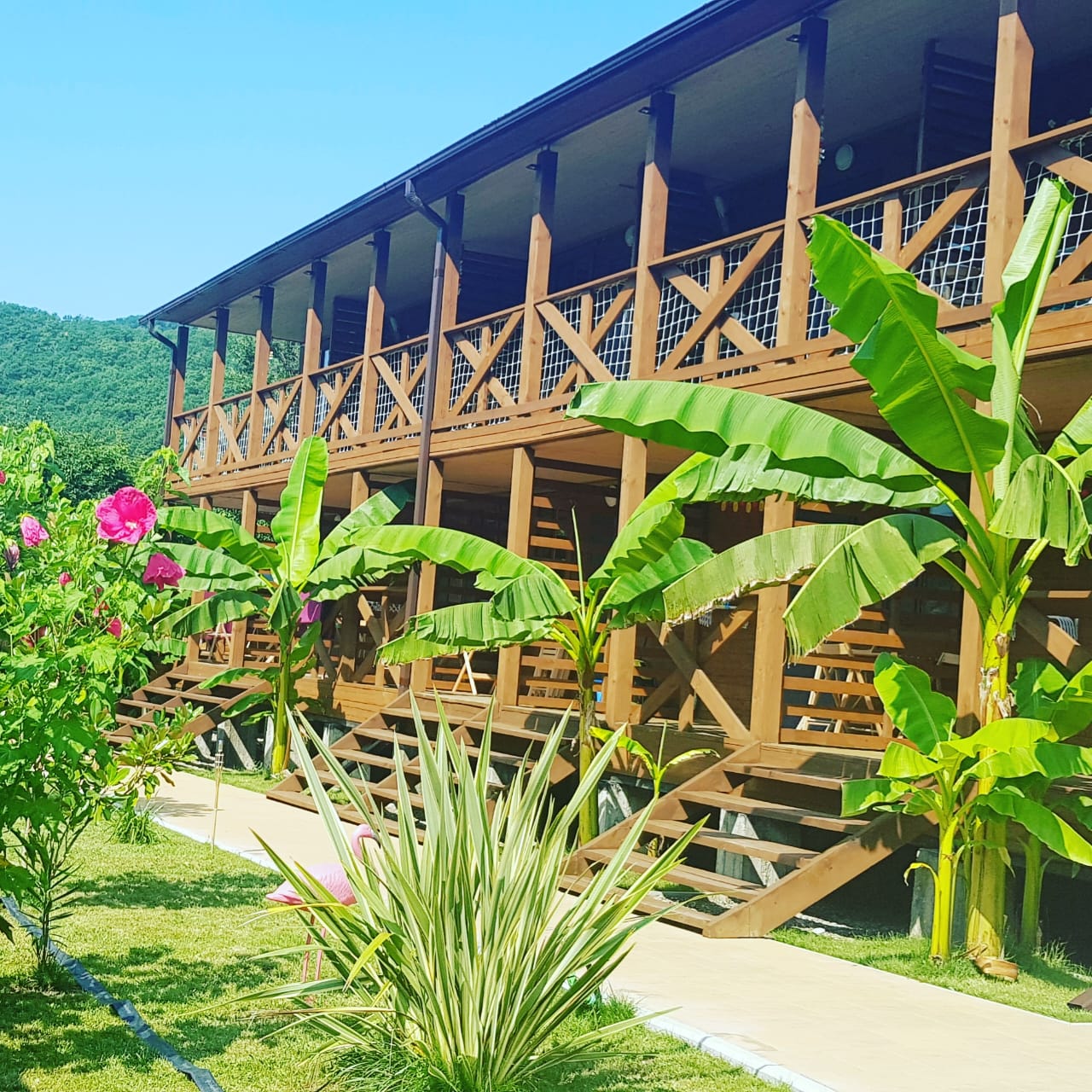 Фото Баунти