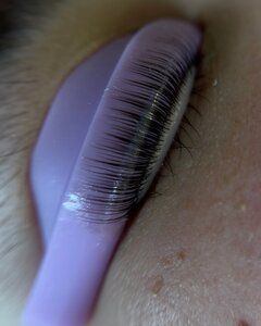 GizaBrows (Veteranov Avenue No:147, Saint Petersburg), kaş ve kirpik salonu  Saint‑Petersburg'dan