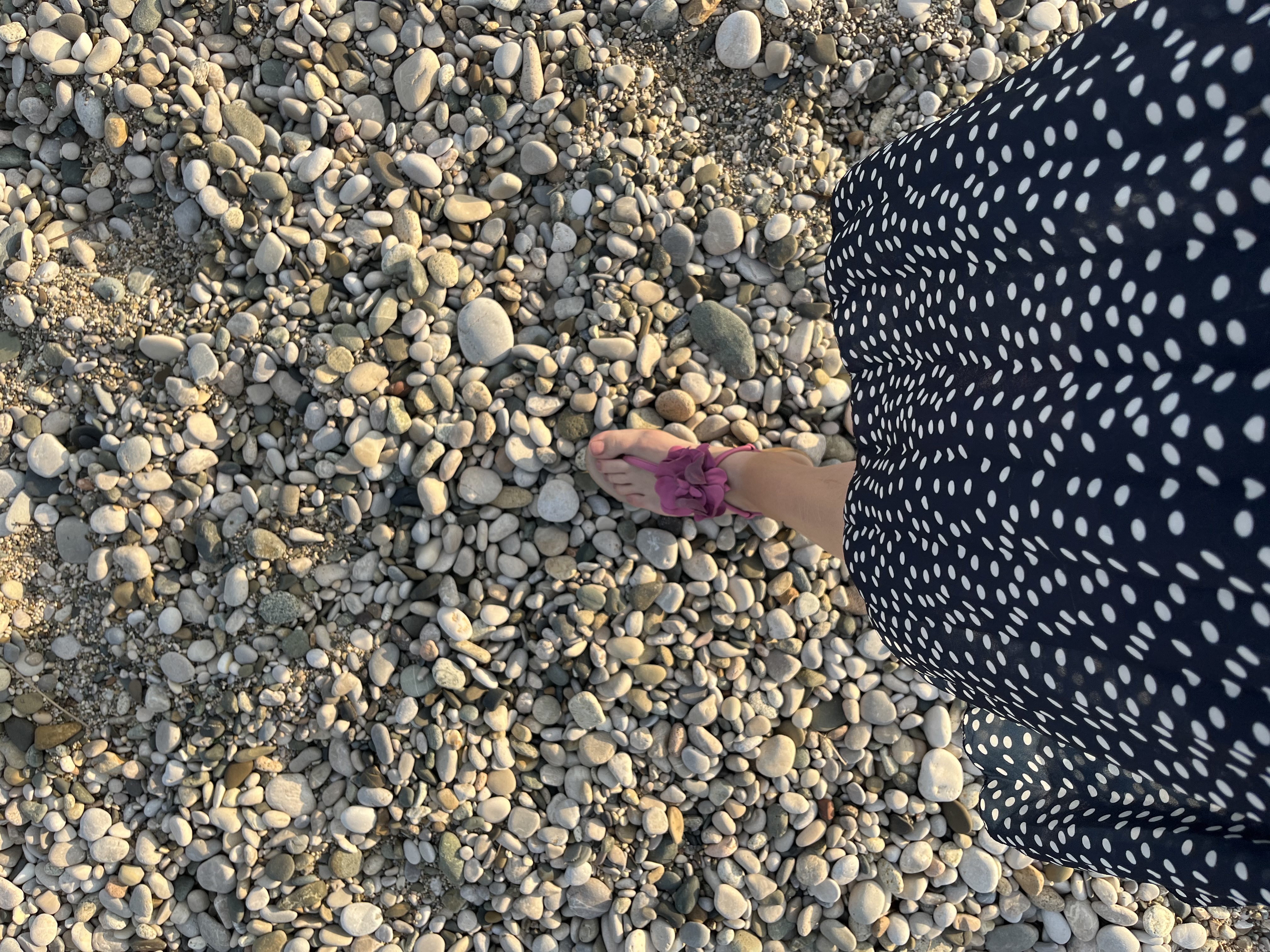 Фото Золотой Якорь