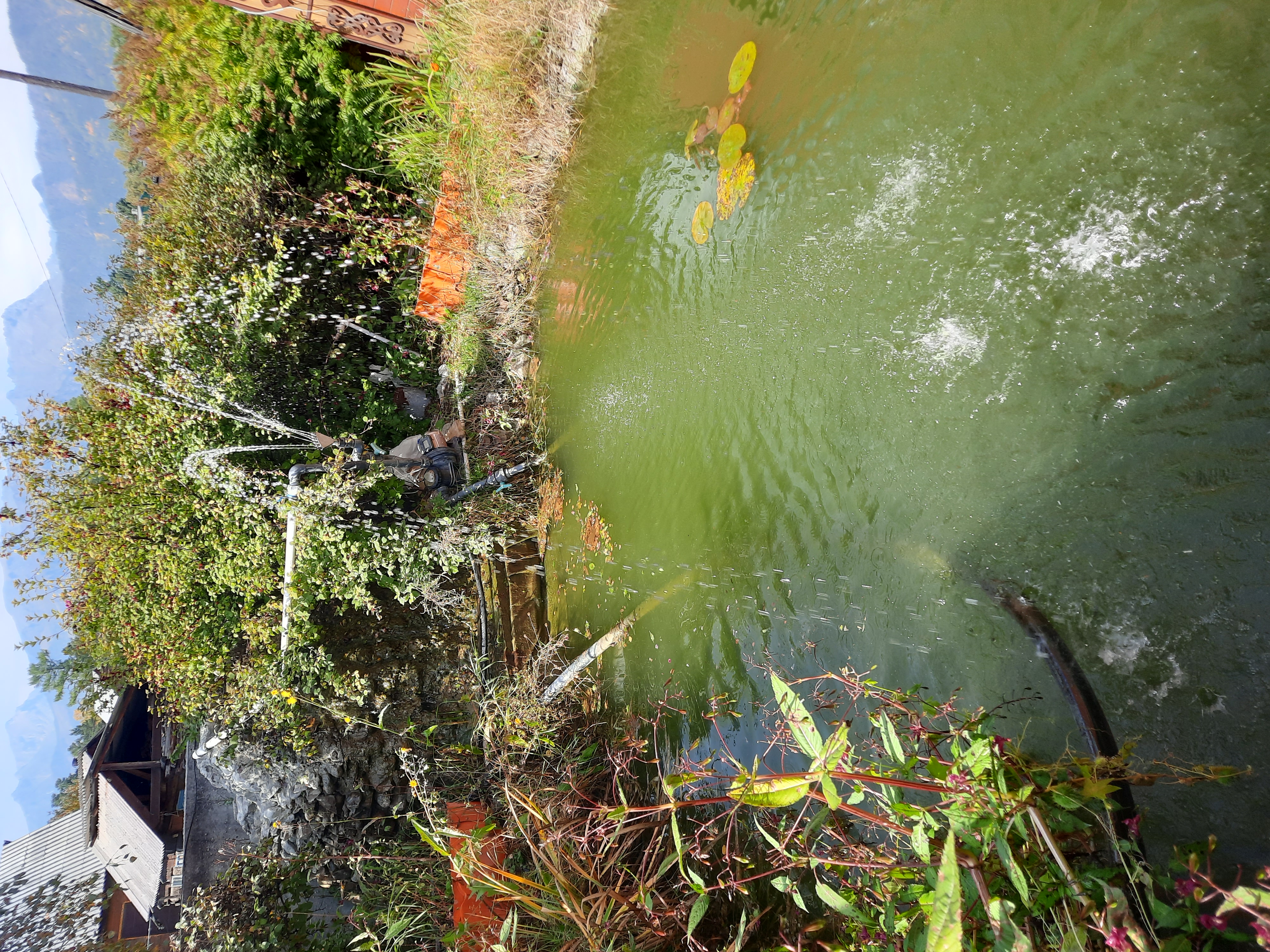 Фото Марьина Роща