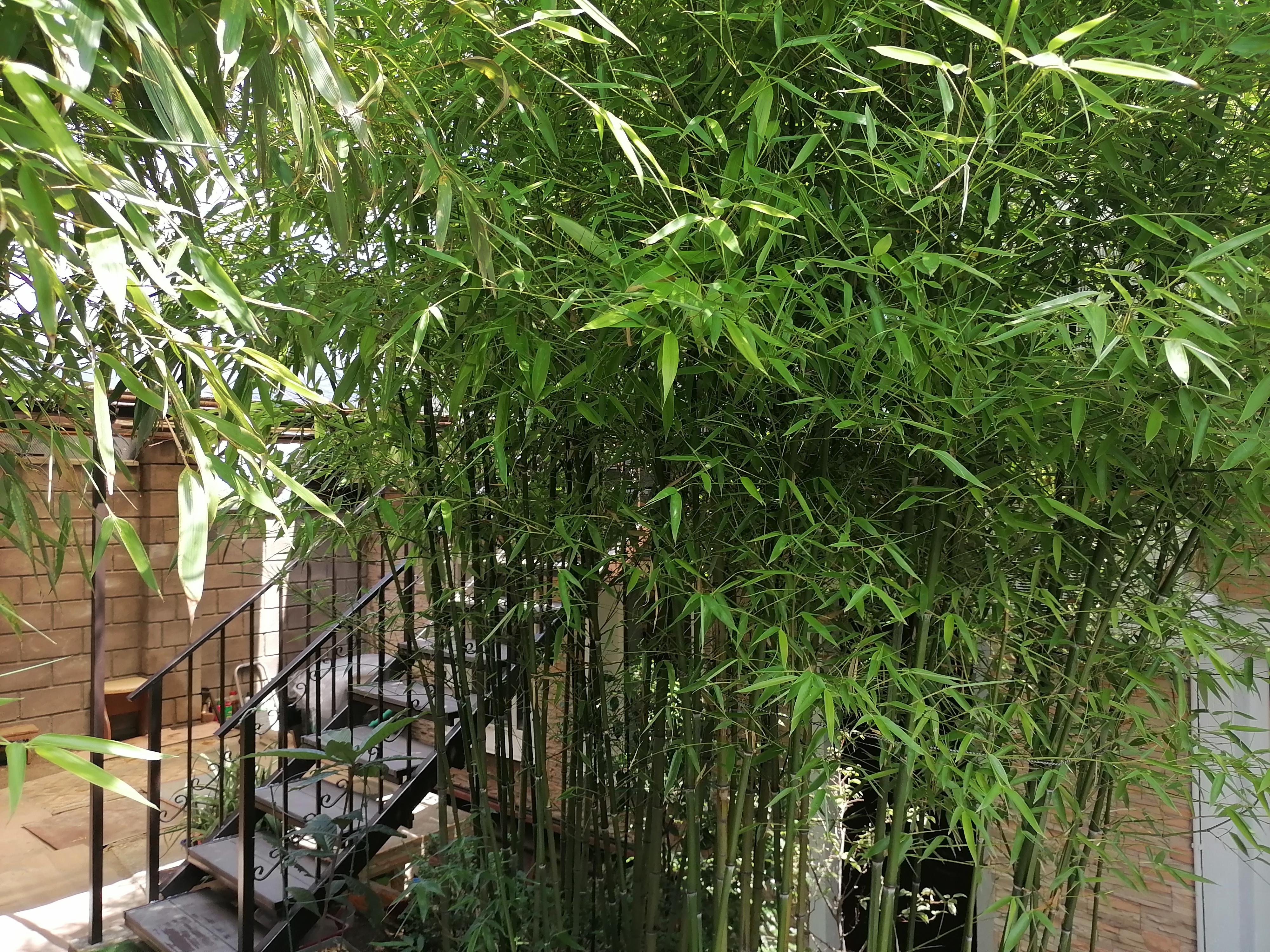 Фото Мансарда-студия