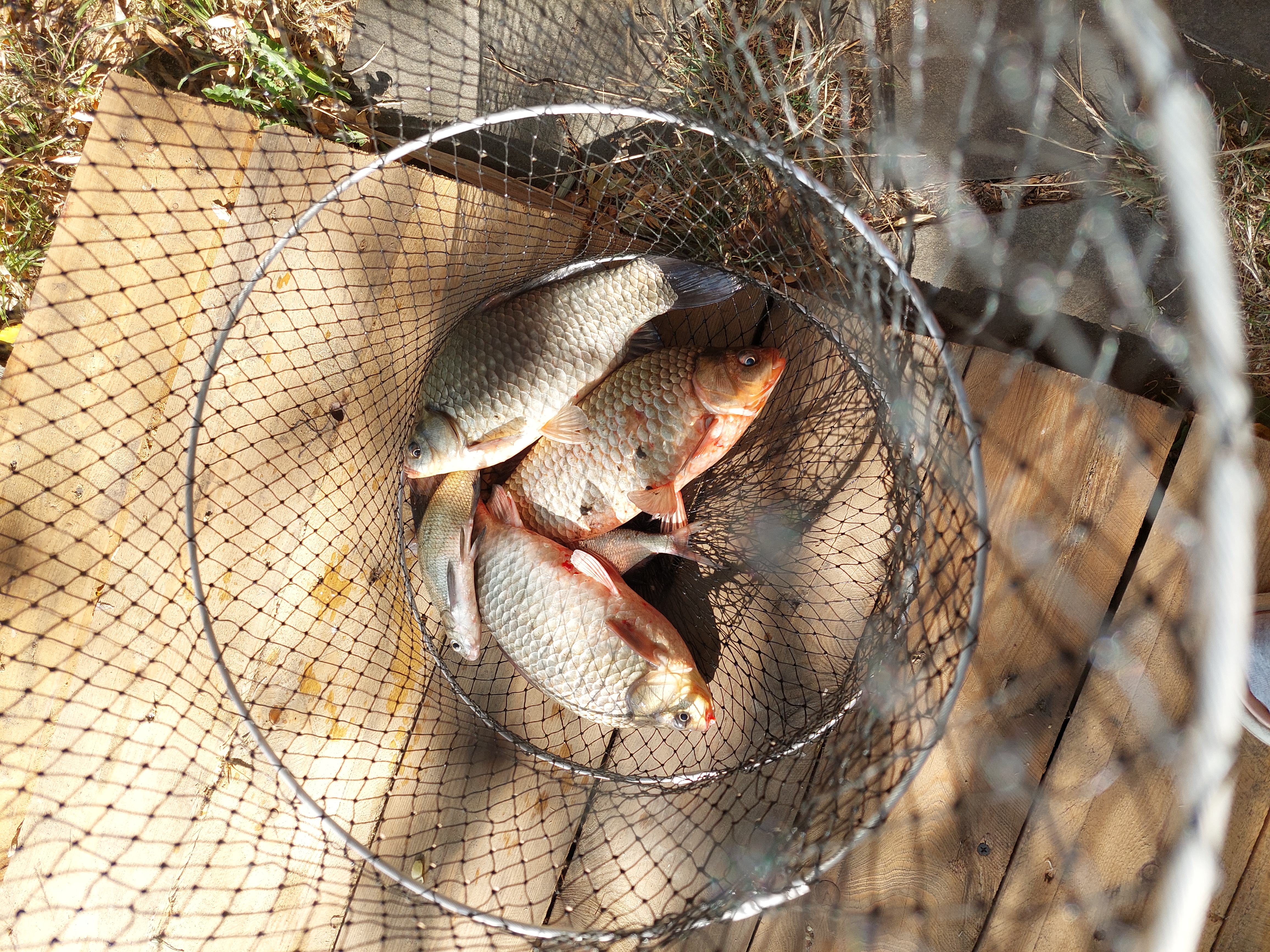 Фото Водоем Центральный