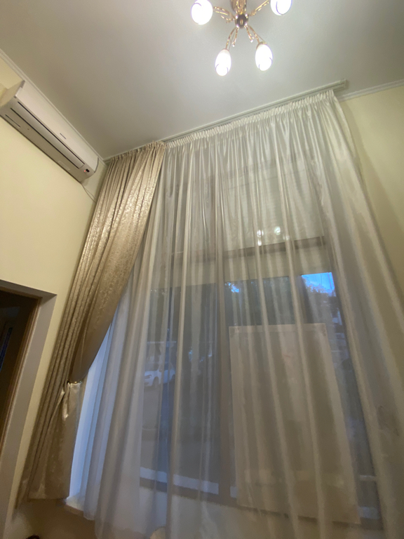 Фото Феоника