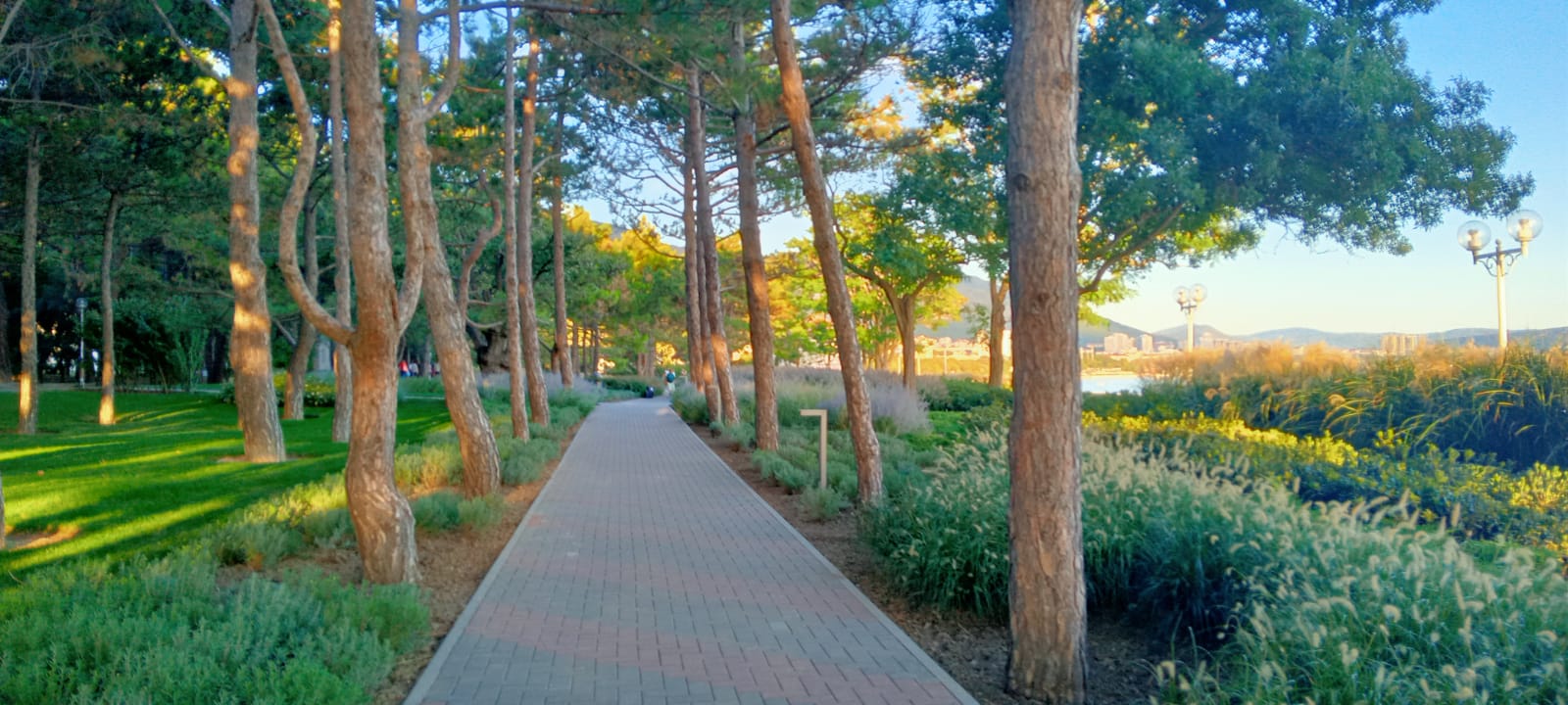 Фото Премьер