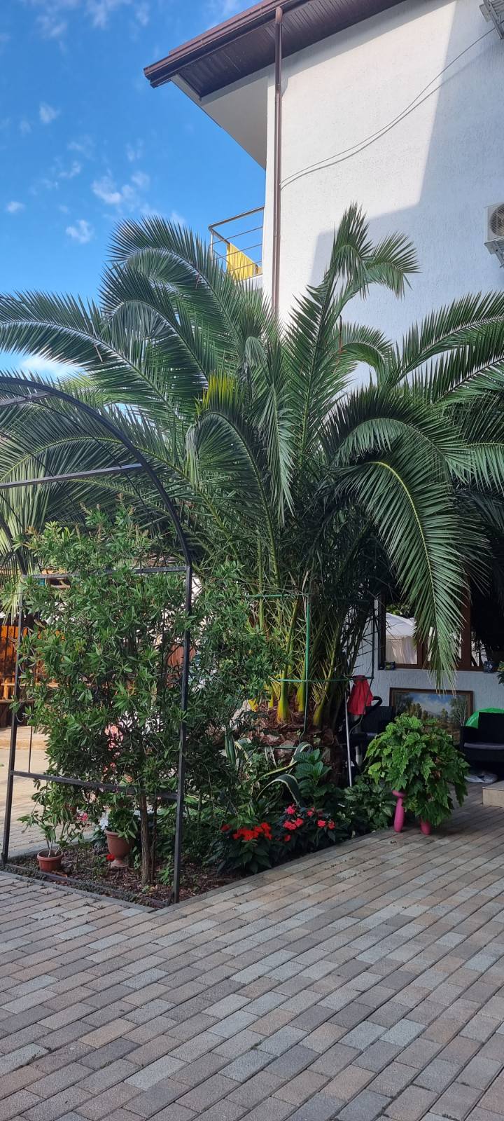 Фото Астория