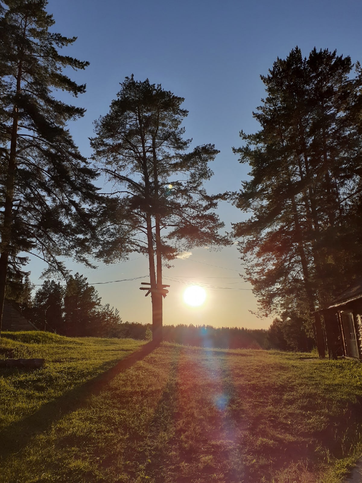 Фото Новая Волна