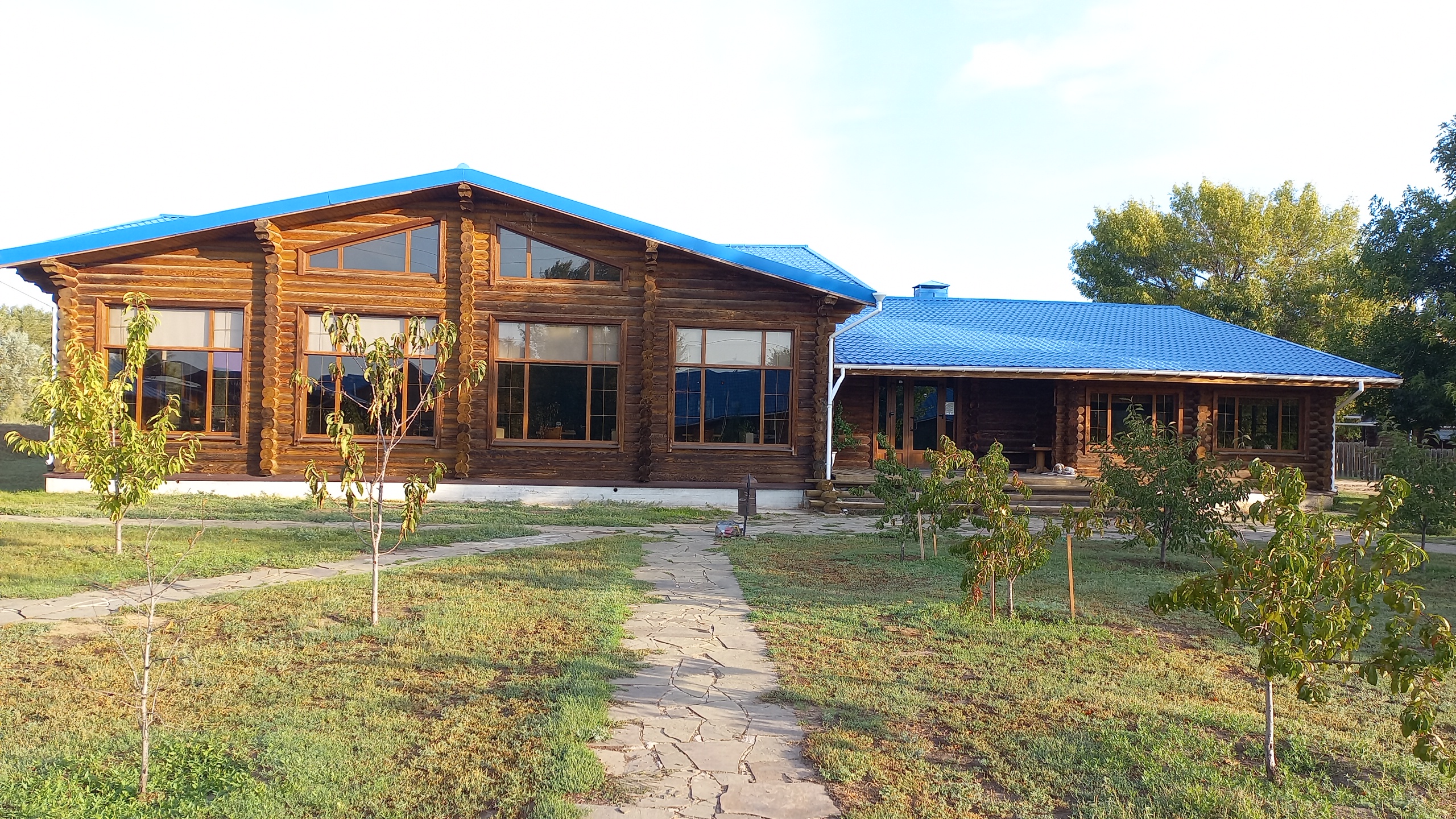 Фото Синяя птица