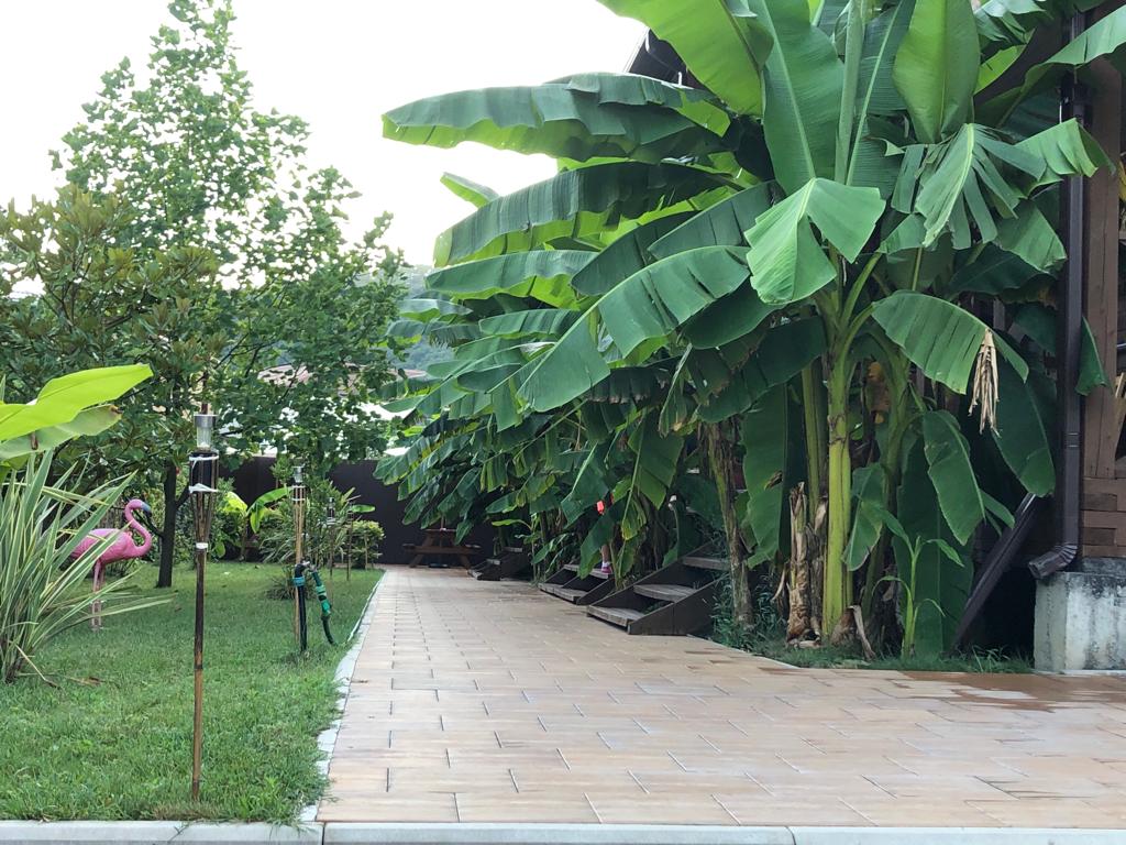 Фото Баунти